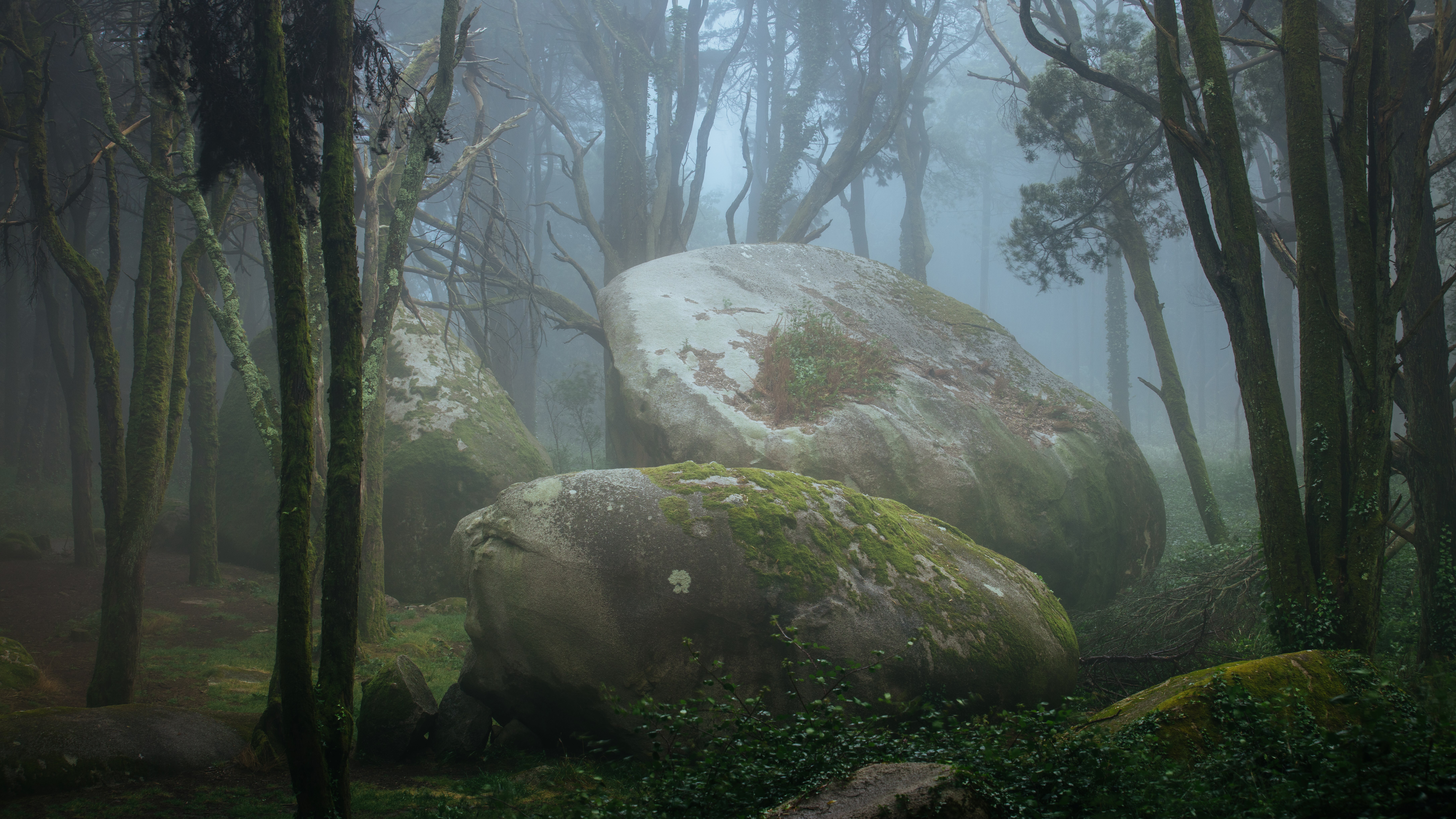 Misty forest with large moss-covered boulders HD Wallpaper