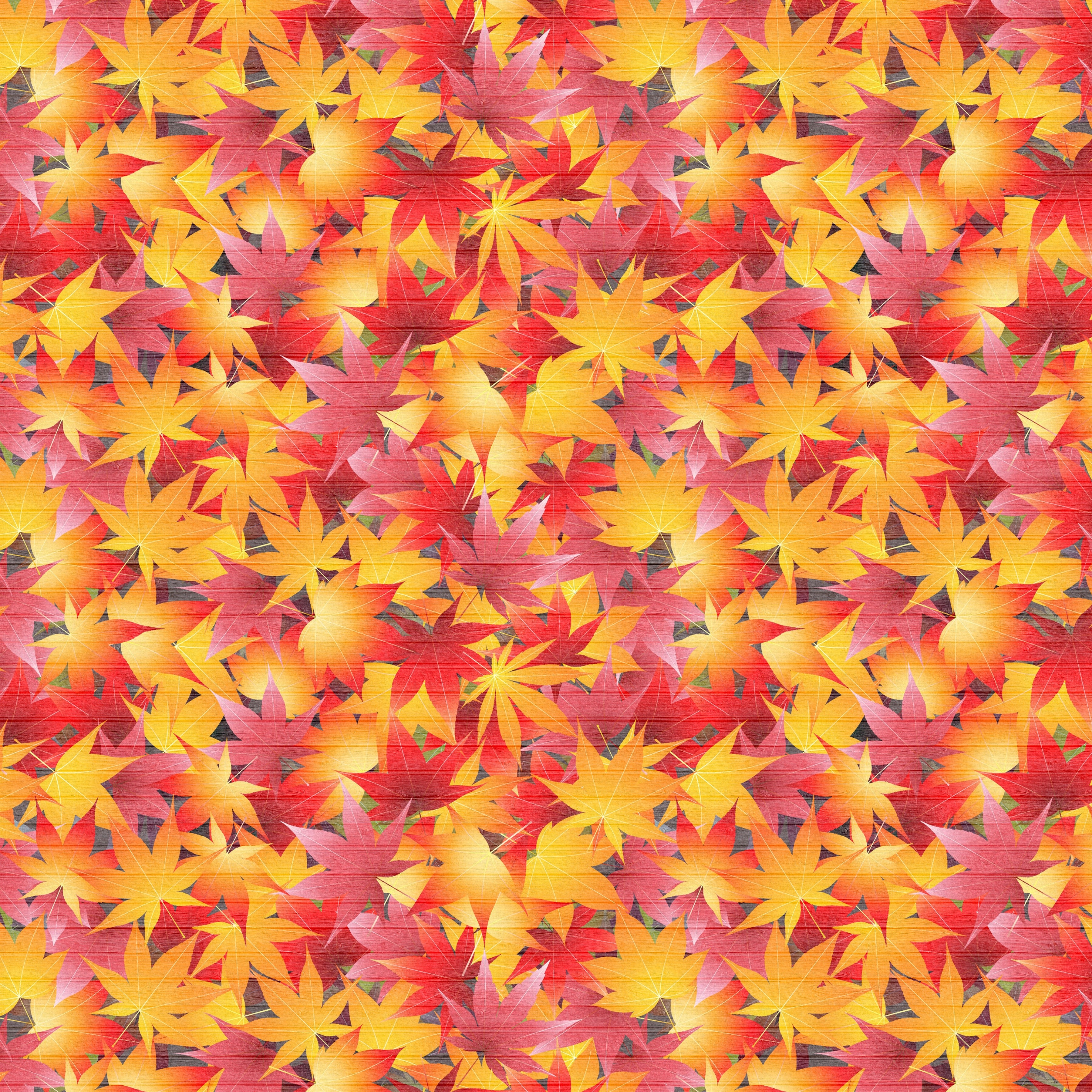 Autumn Maple Leaves Pattern HD Wallpaper
