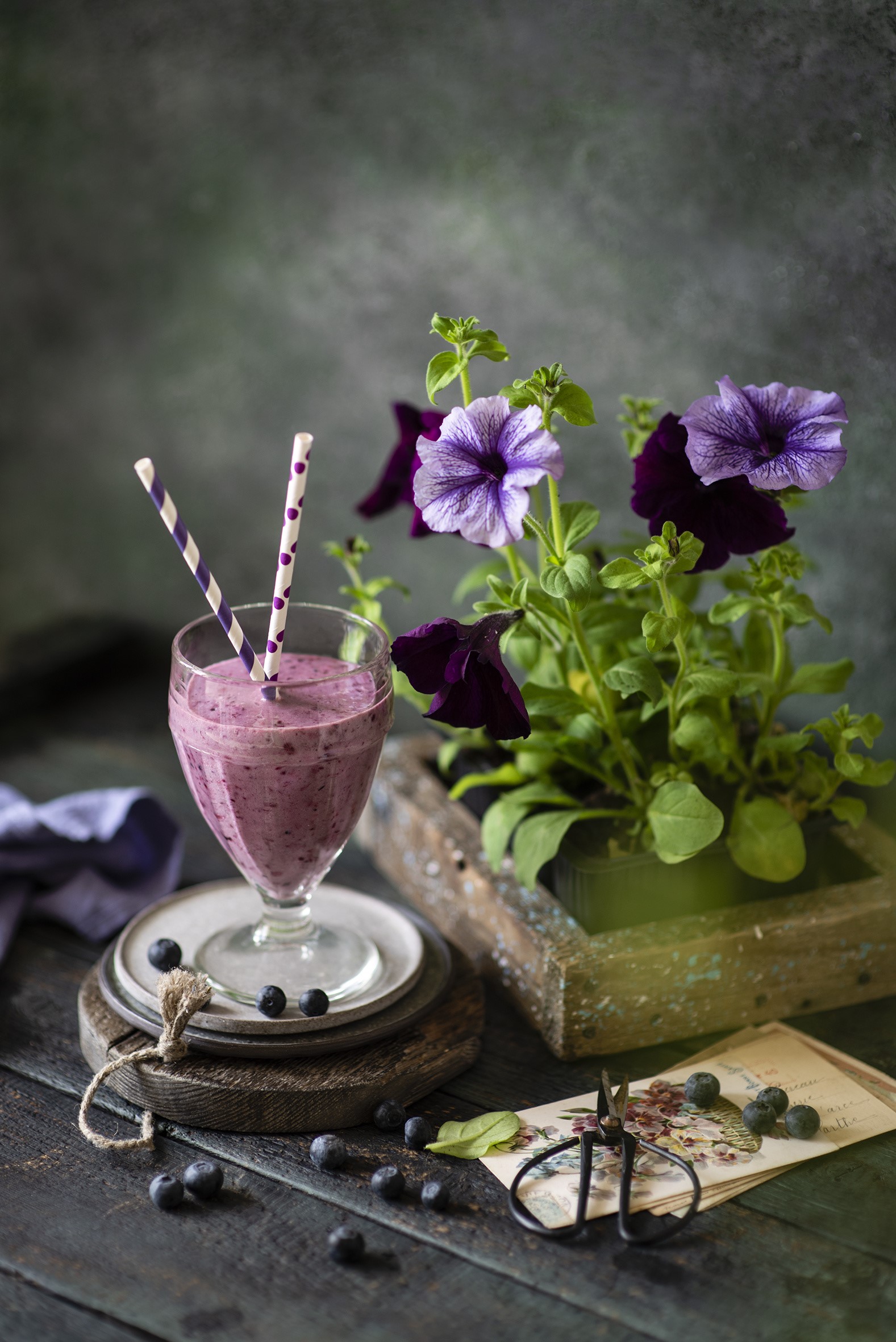 Blueberry smoothie with petunias and blueberries HD Phone Wallpaper