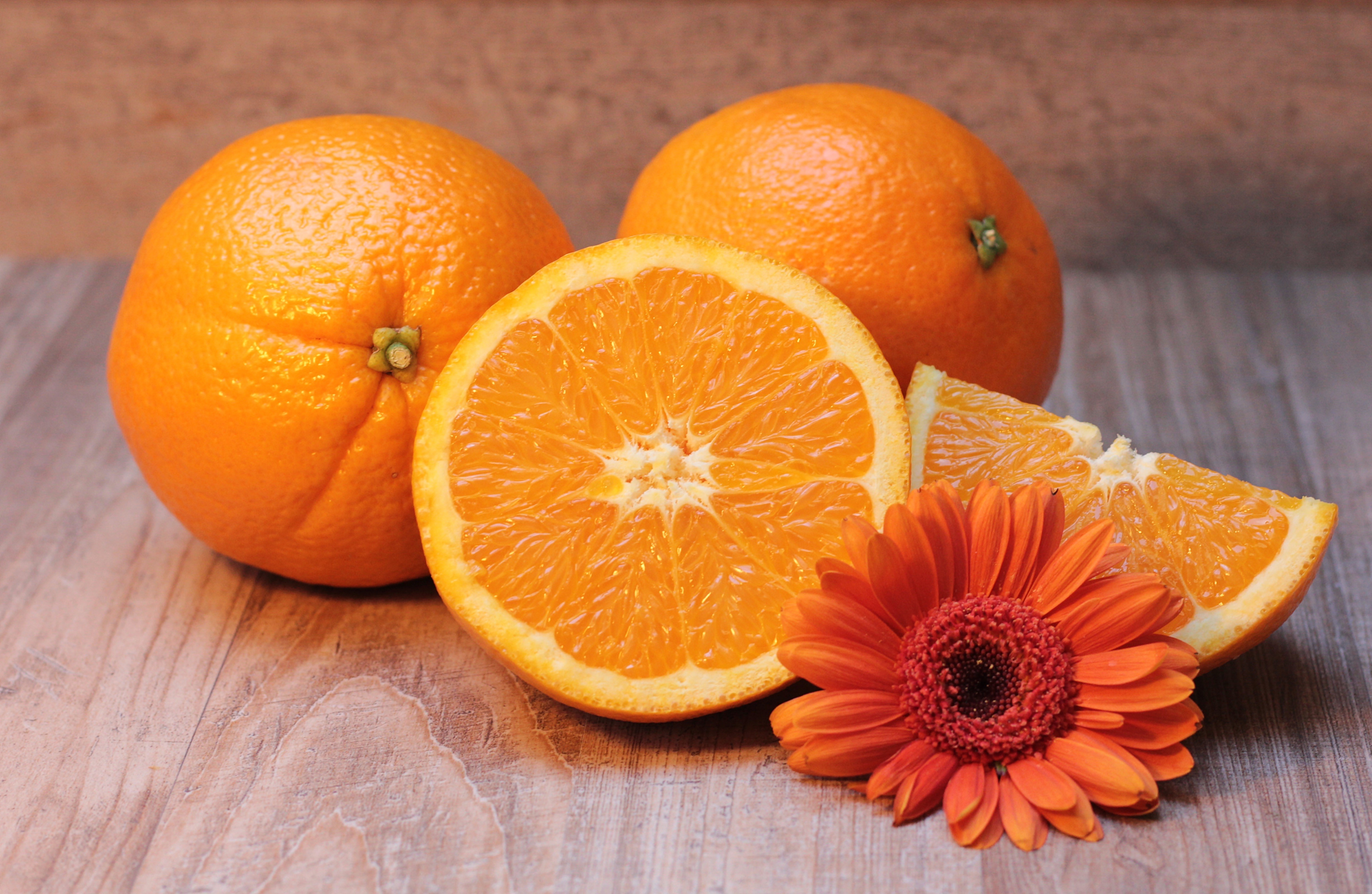 Oranges and an orange gerbera daisy HD Wallpaper