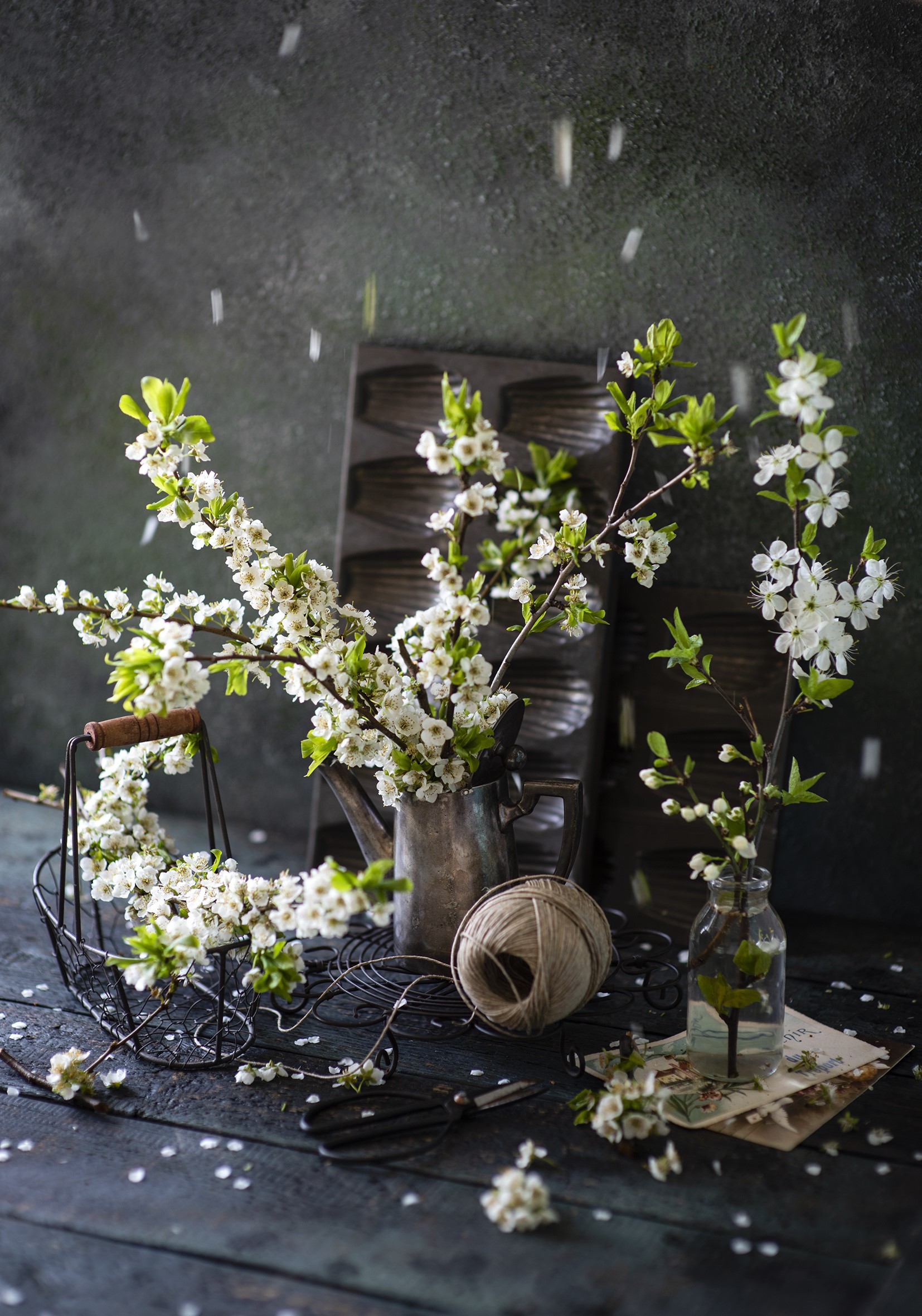 Still life with flowering branches and gardening tools HD Phone Wallpaper