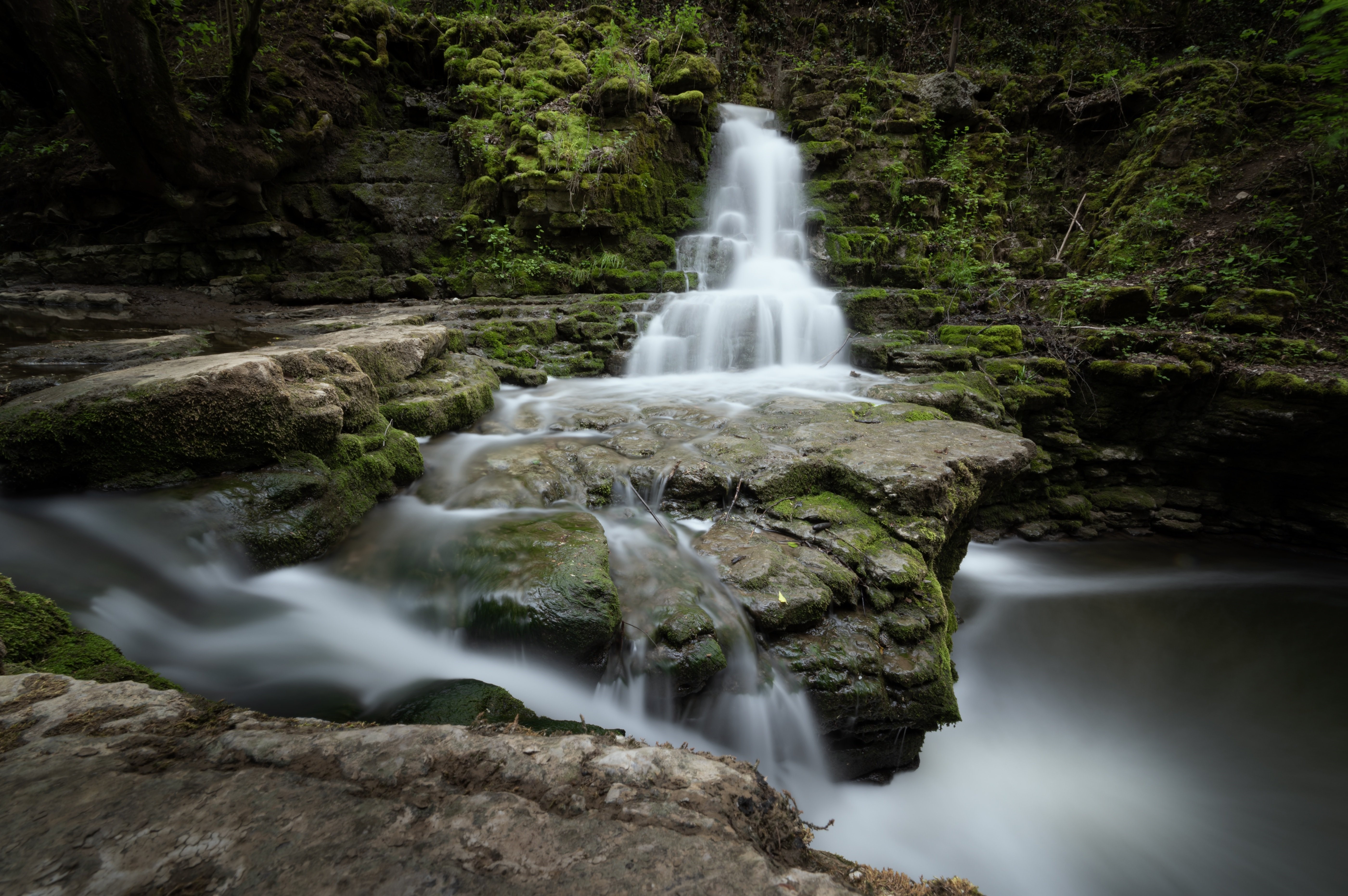 Waterfall cascading over mossy rocks in a forest HD Wallpaper