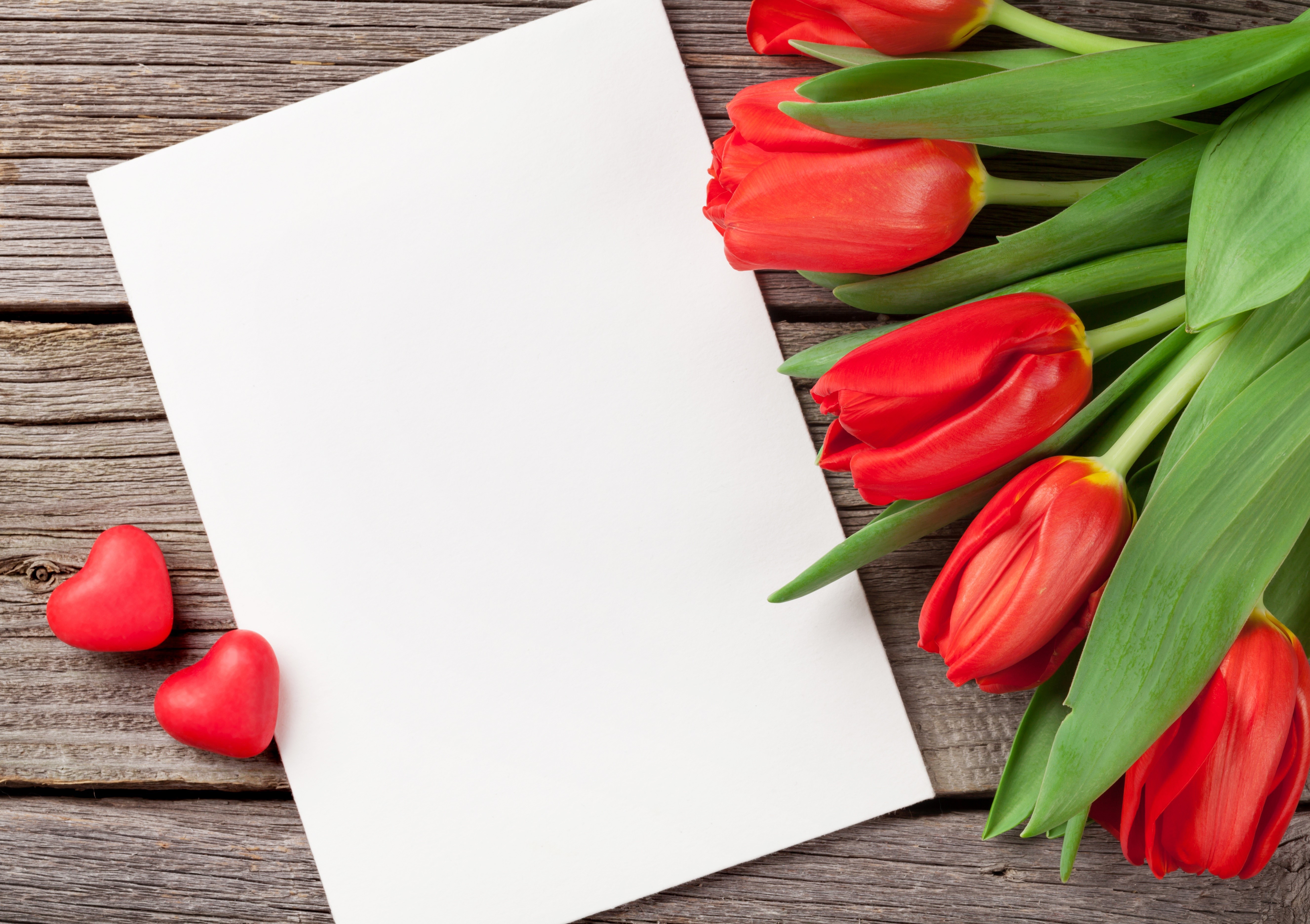 Red Tulips and Blank Card on Wood HD Wallpaper