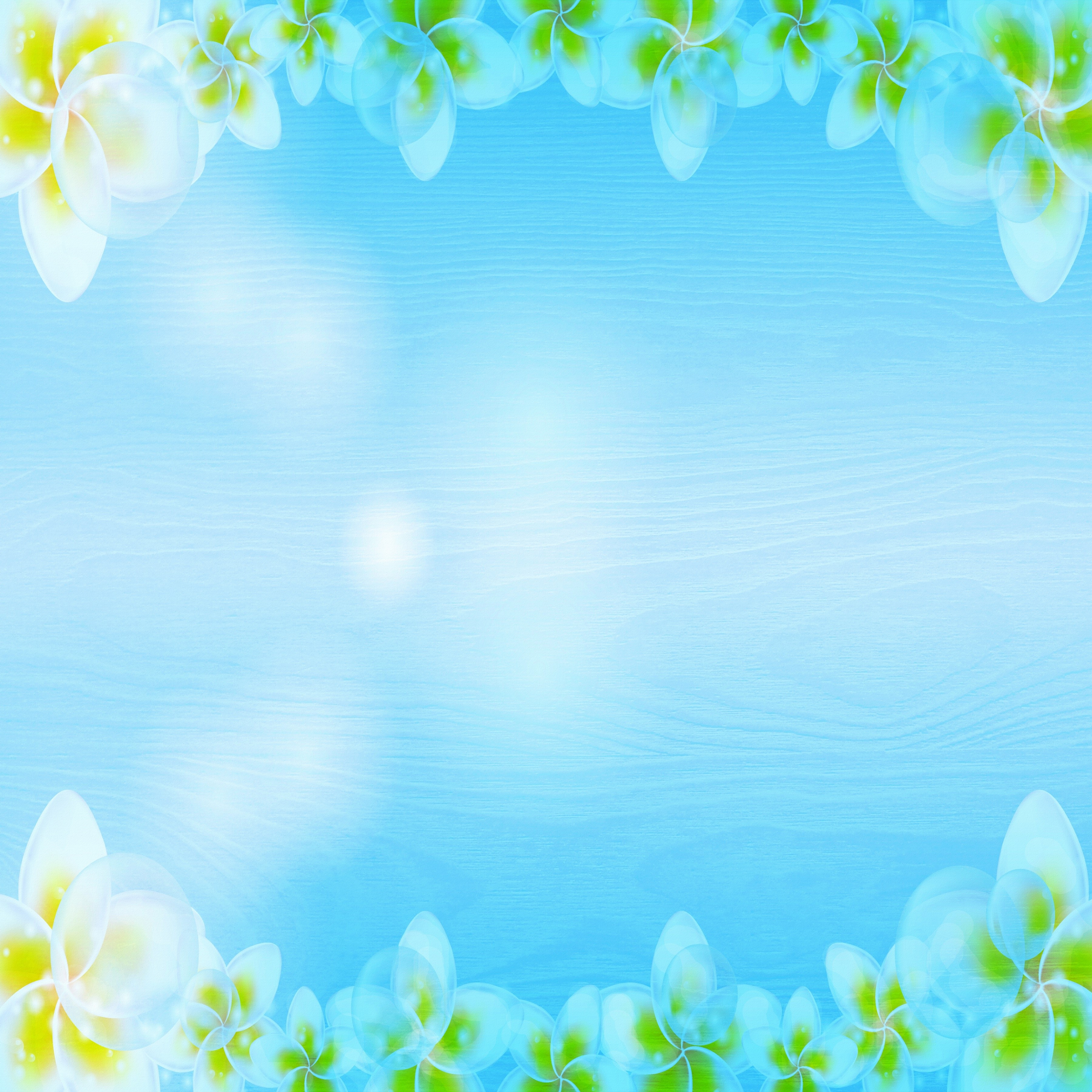Plumeria flowers on a blue wooden background HD Wallpaper