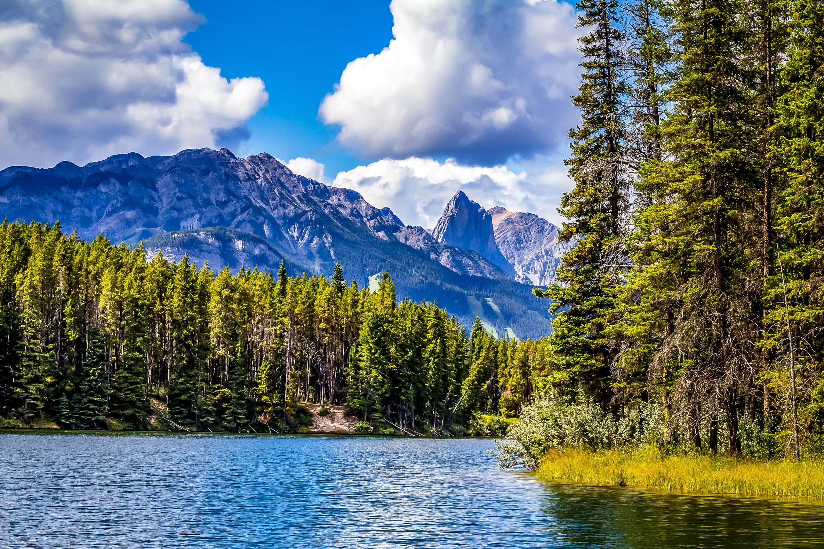 Johnson Lake with Mountains and Forest in Banff National Park HD Wallpaper