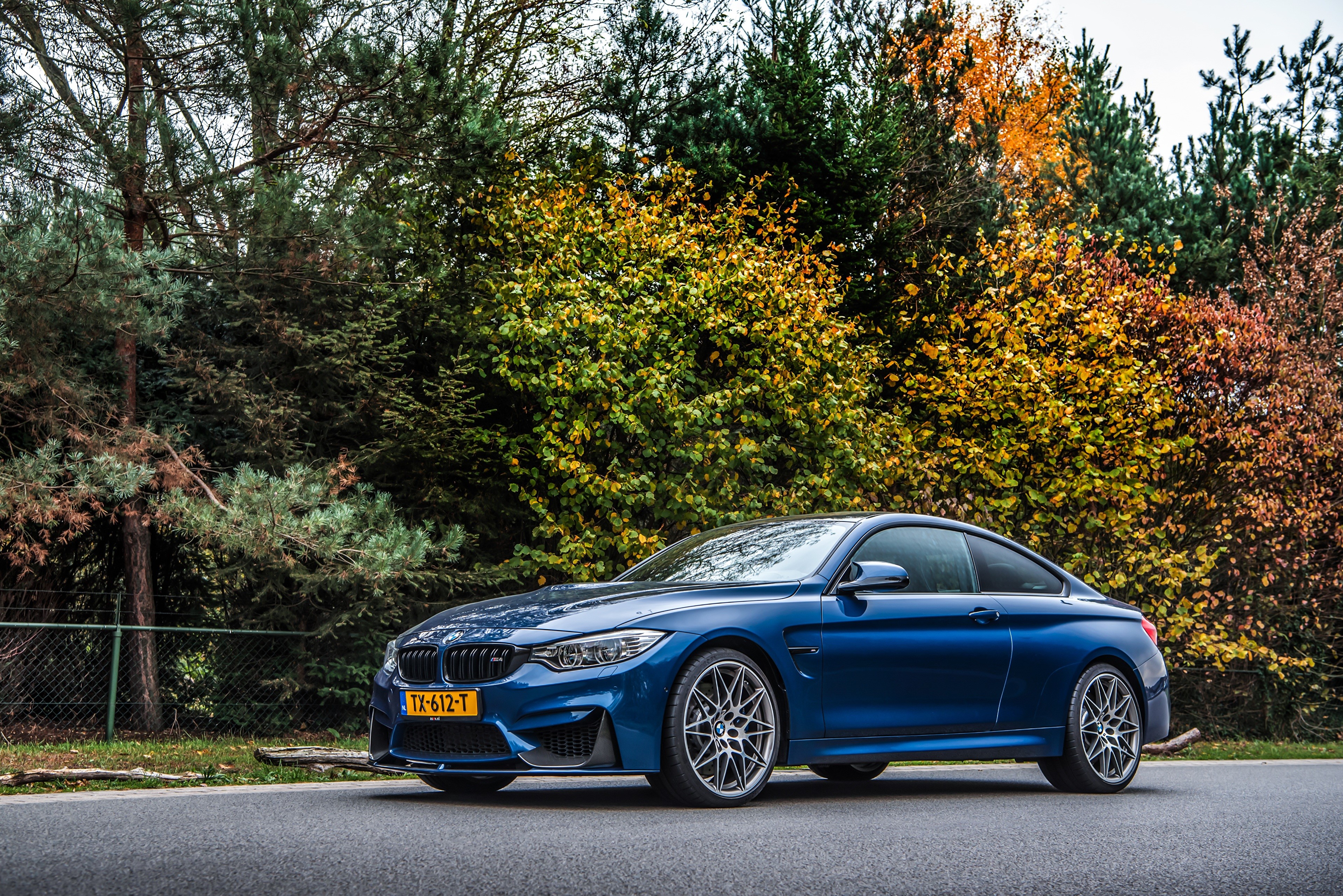 Blue BMW M4 Competition Coupe HD Wallpaper