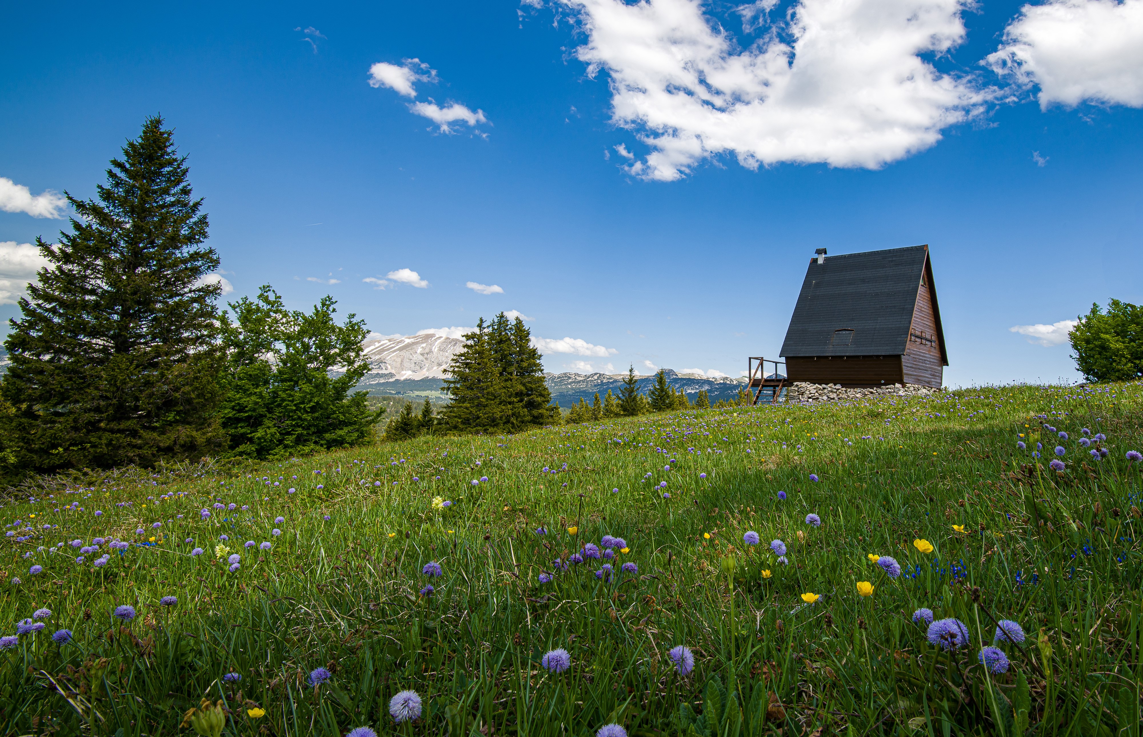 Wooden cabin in a grassy meadow with wildflowers and mountains HD Wallpaper