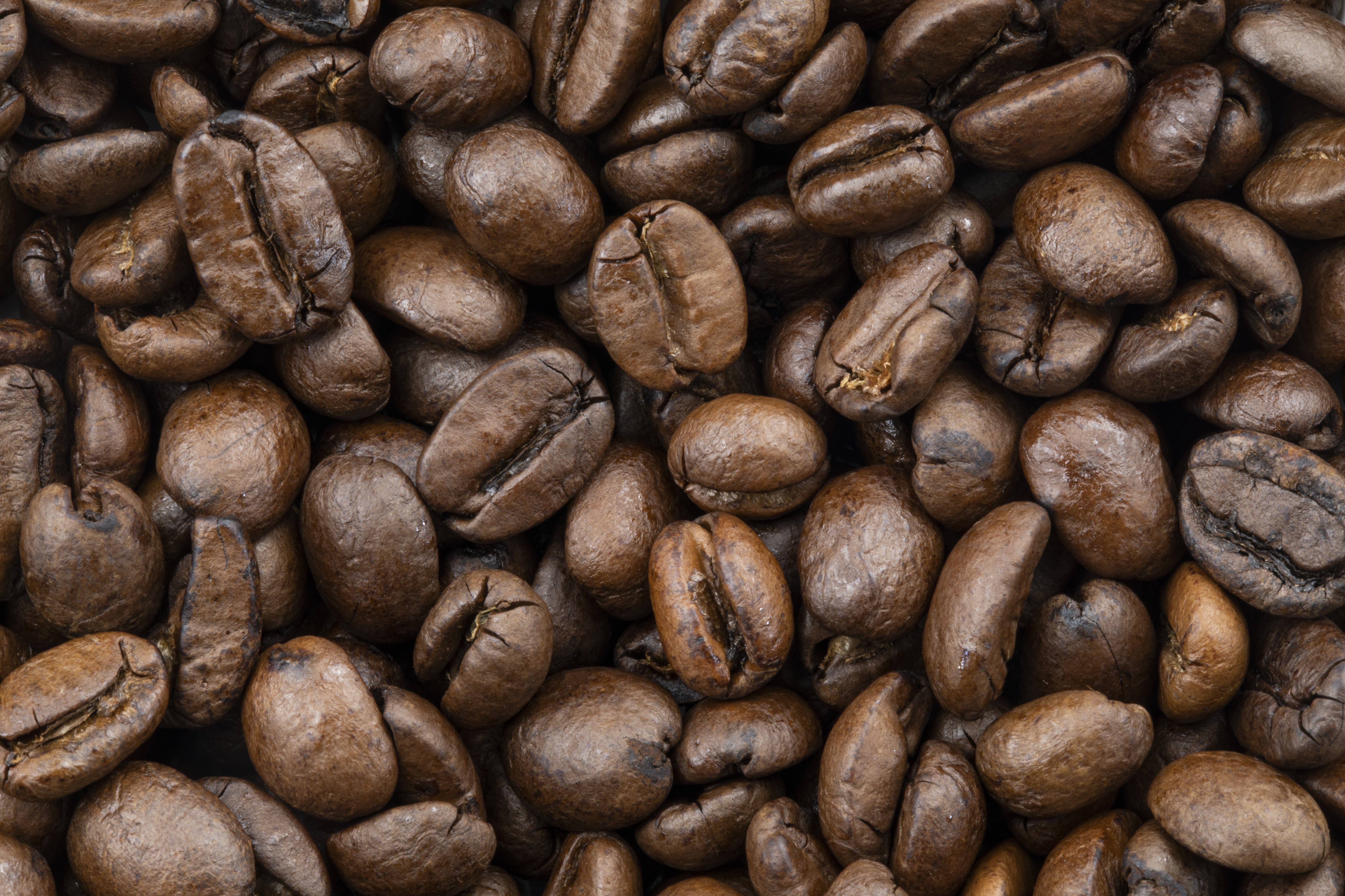 Close-up of many coffee beans HD Wallpaper