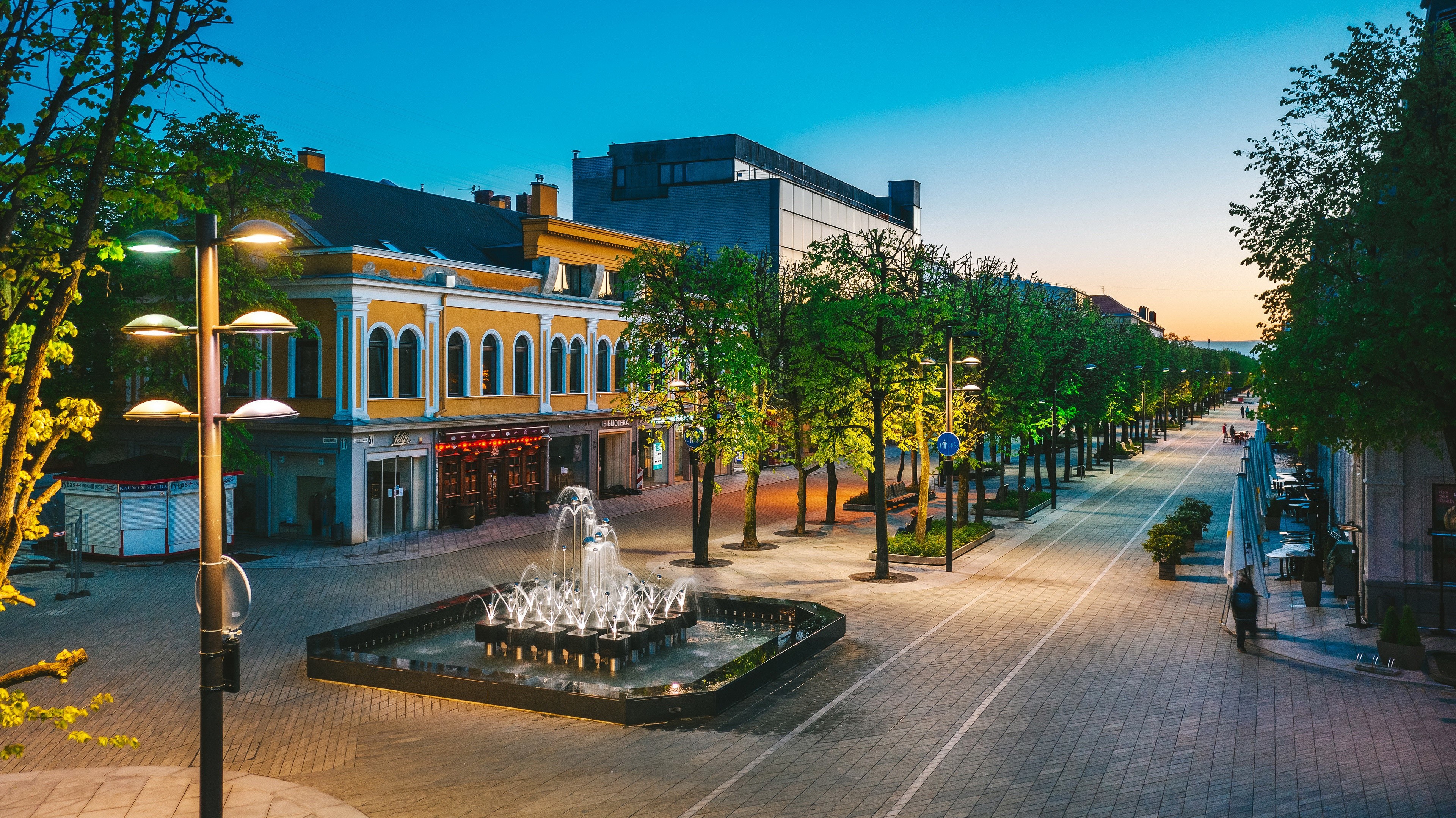 Fountain on a tree-lined avenue in Kaunas, Lithuania HD Wallpaper