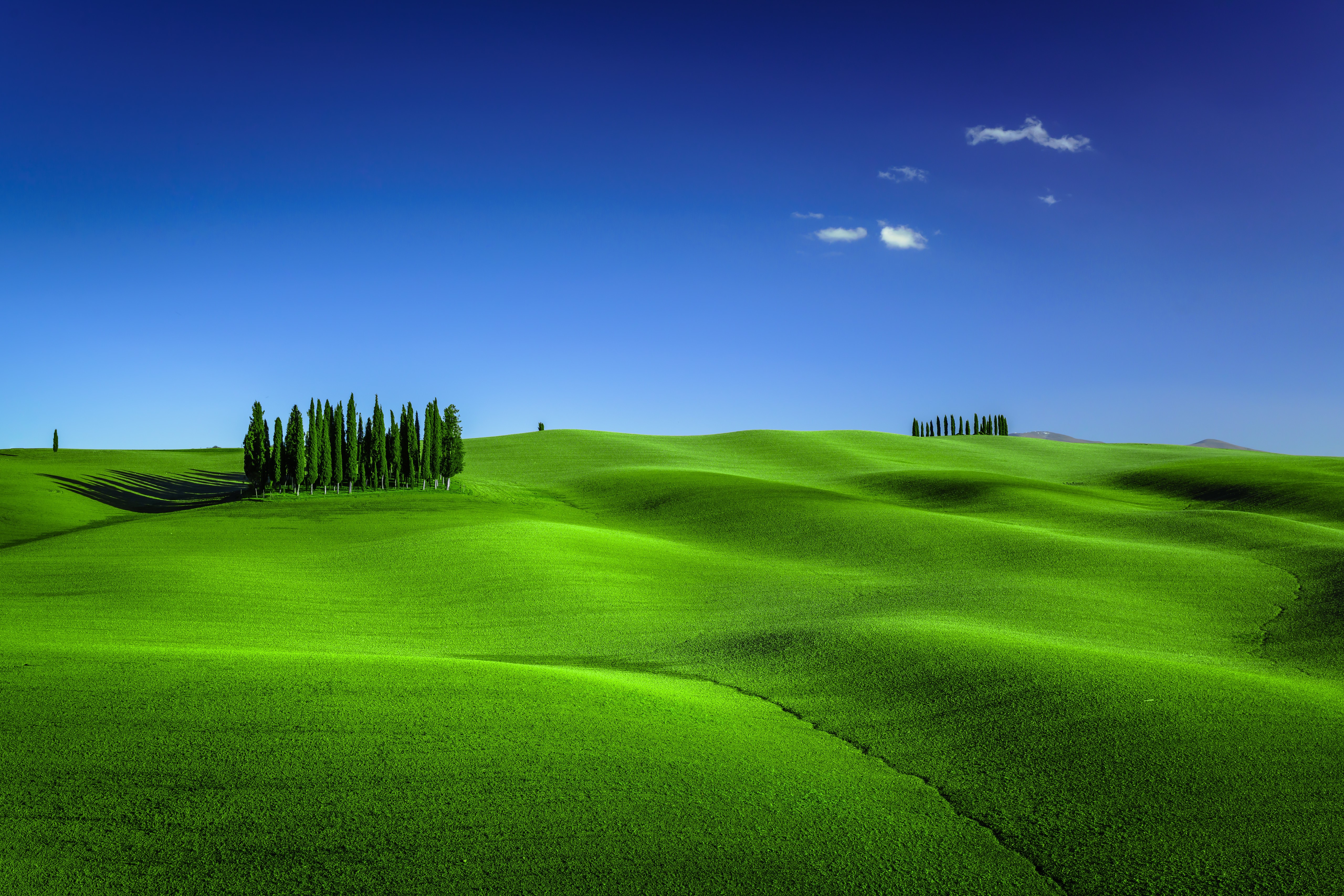 Tuscany landscape with cypress trees and rolling hills HD Wallpaper
