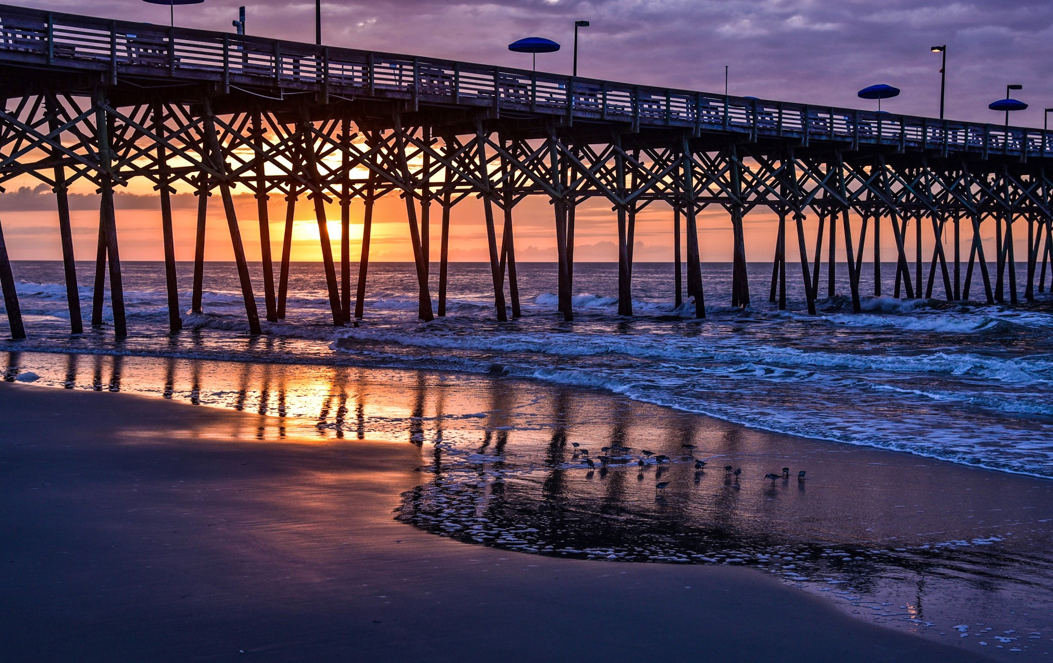 Sunrise over Garden City Beach pier with birds HD Wallpaper
