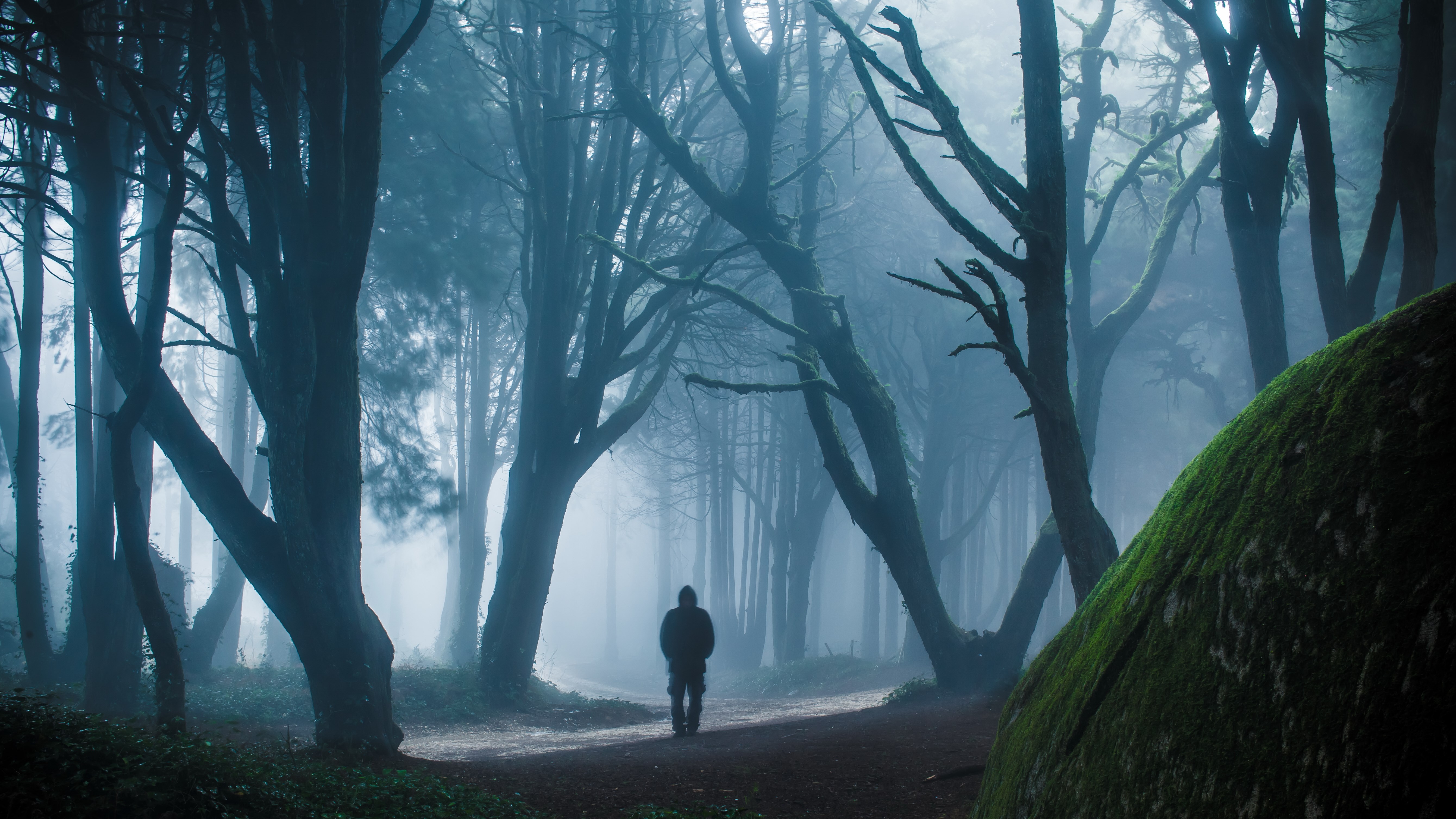 Person walking in a foggy forest with mossy rocks HD Wallpaper