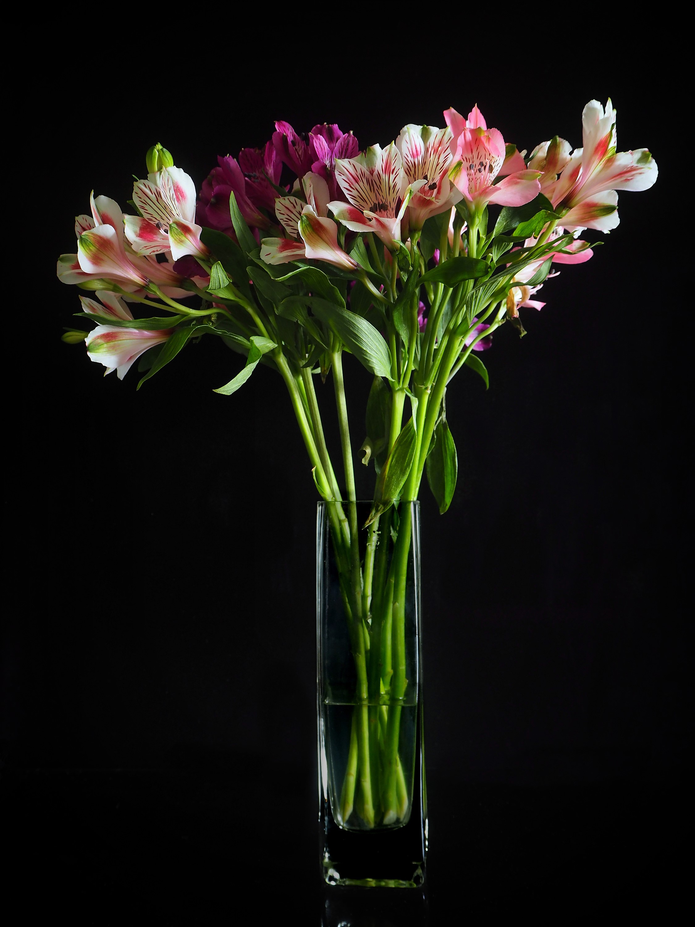 Alstroemeria flowers in a glass vase HD Phone Wallpaper