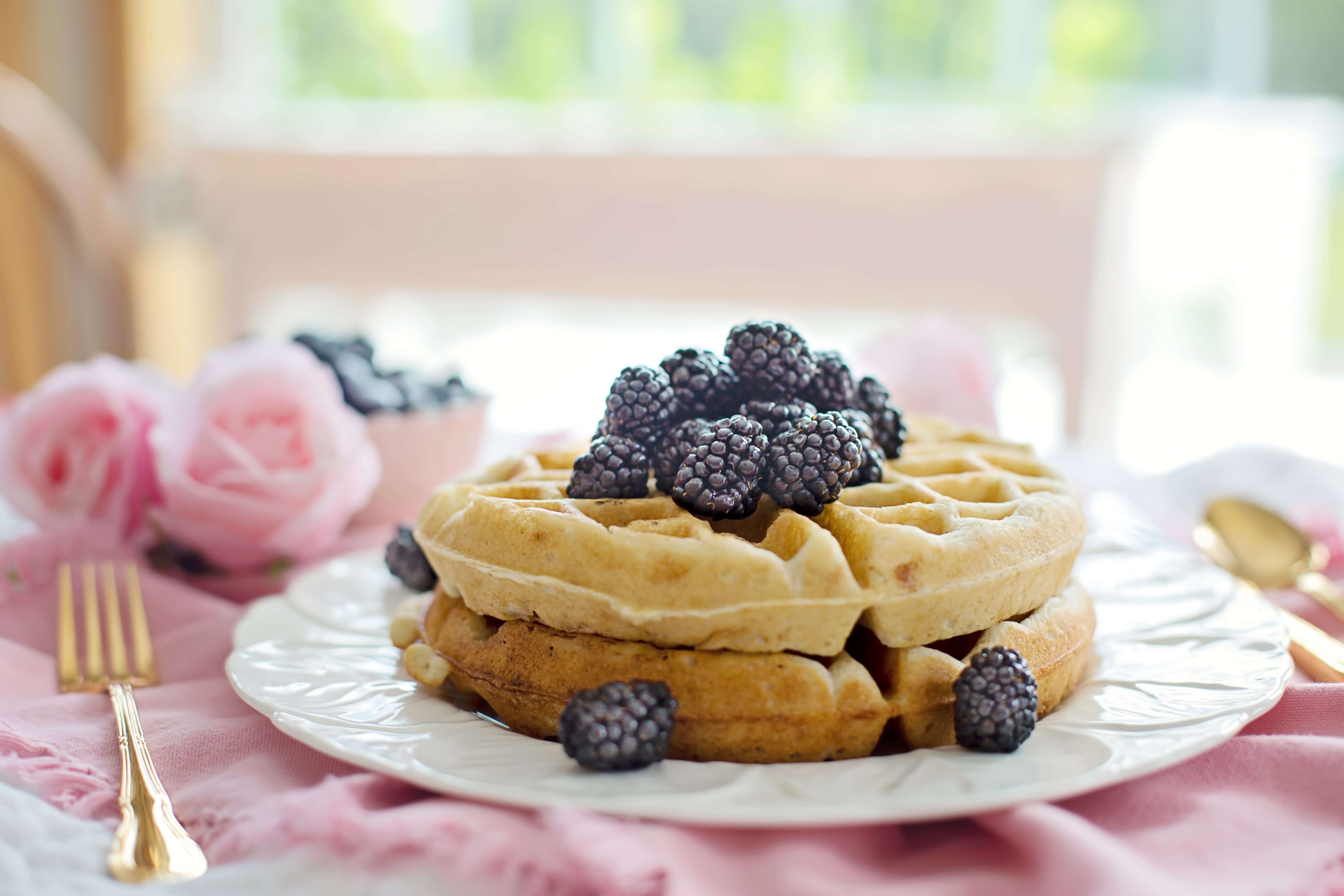 Waffles with Blackberries on a Plate with Fork HD Wallpaper