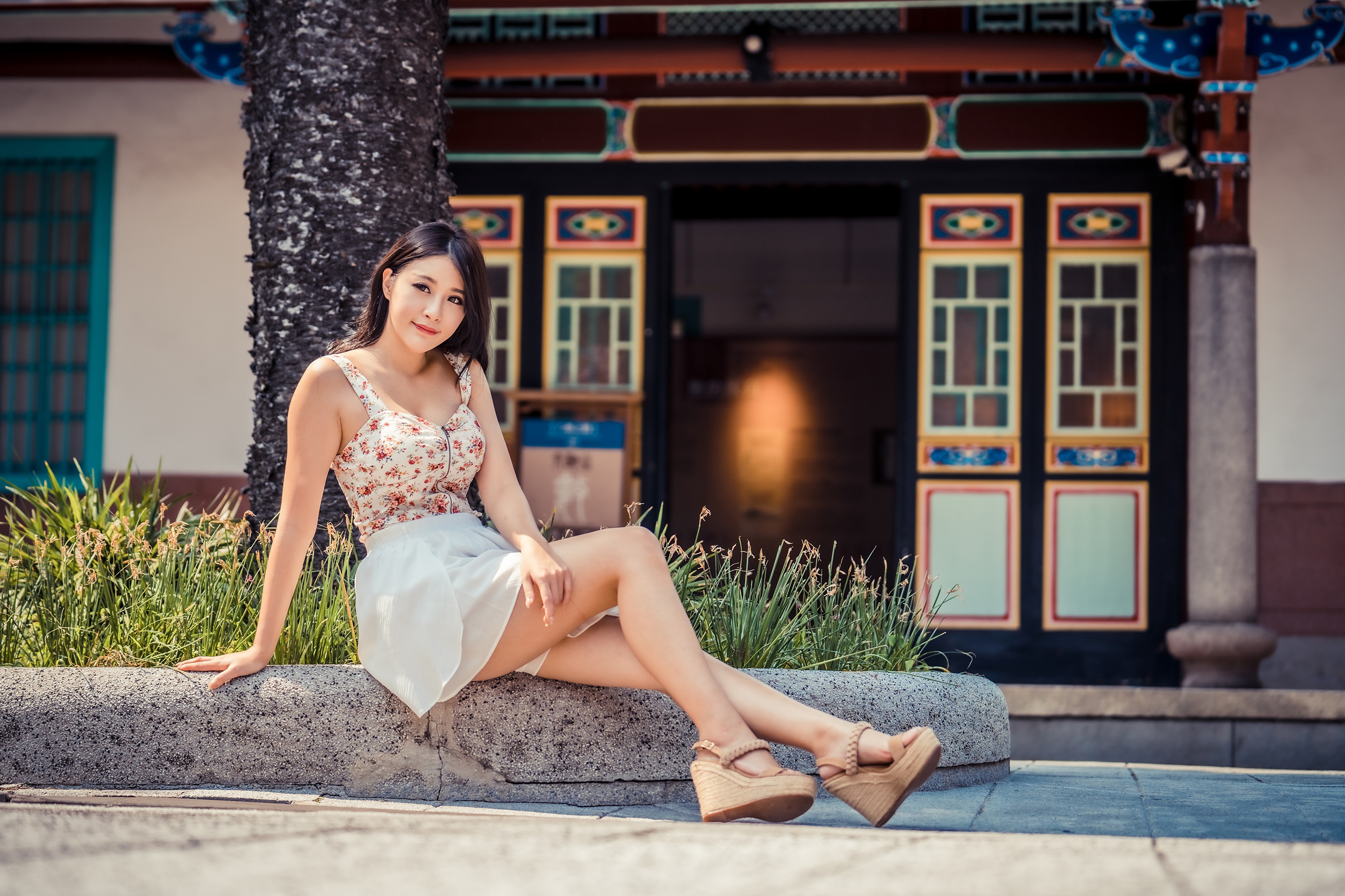 Asian woman sitting by a tree HD Wallpaper