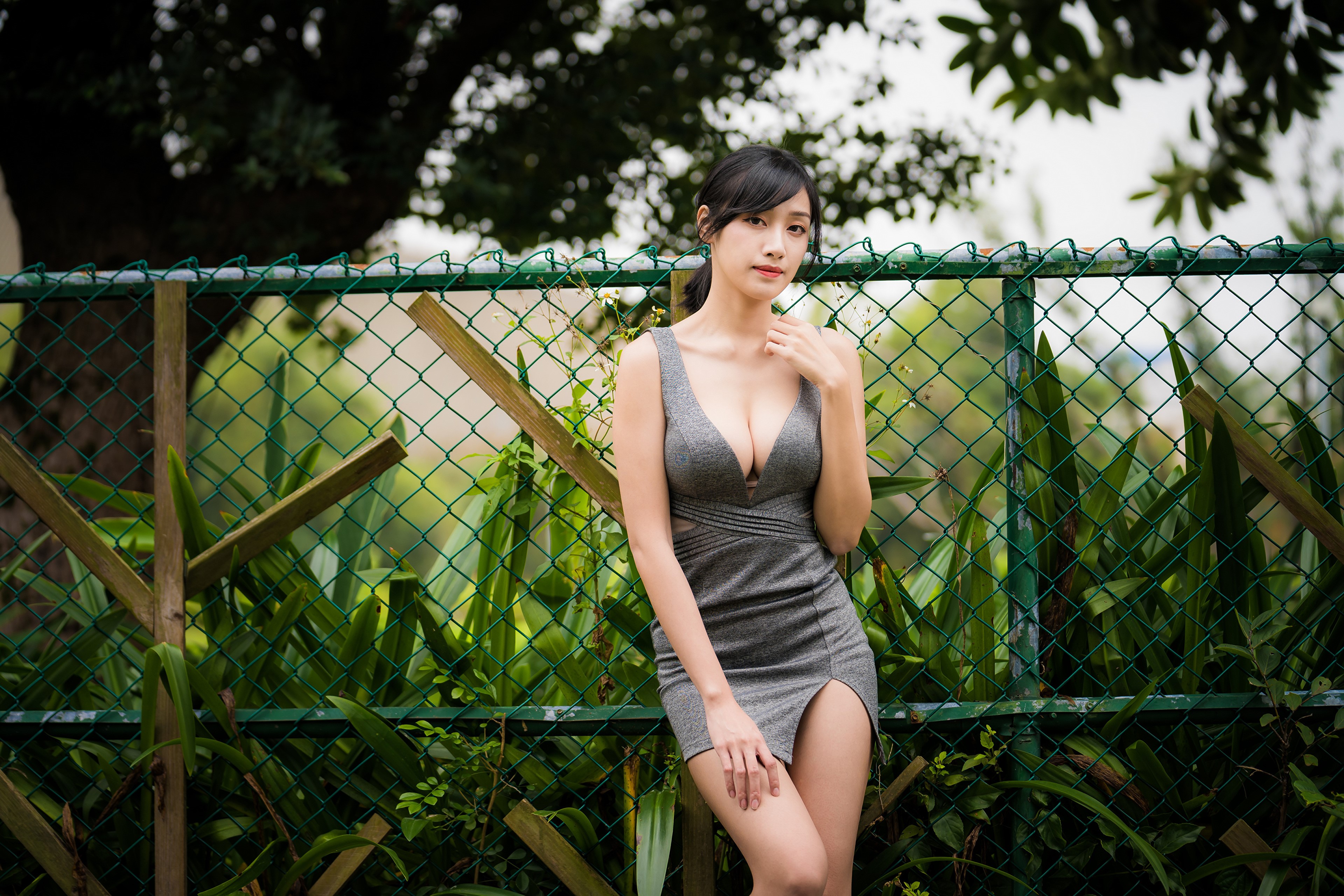 Asian woman in grey dress HD Wallpaper