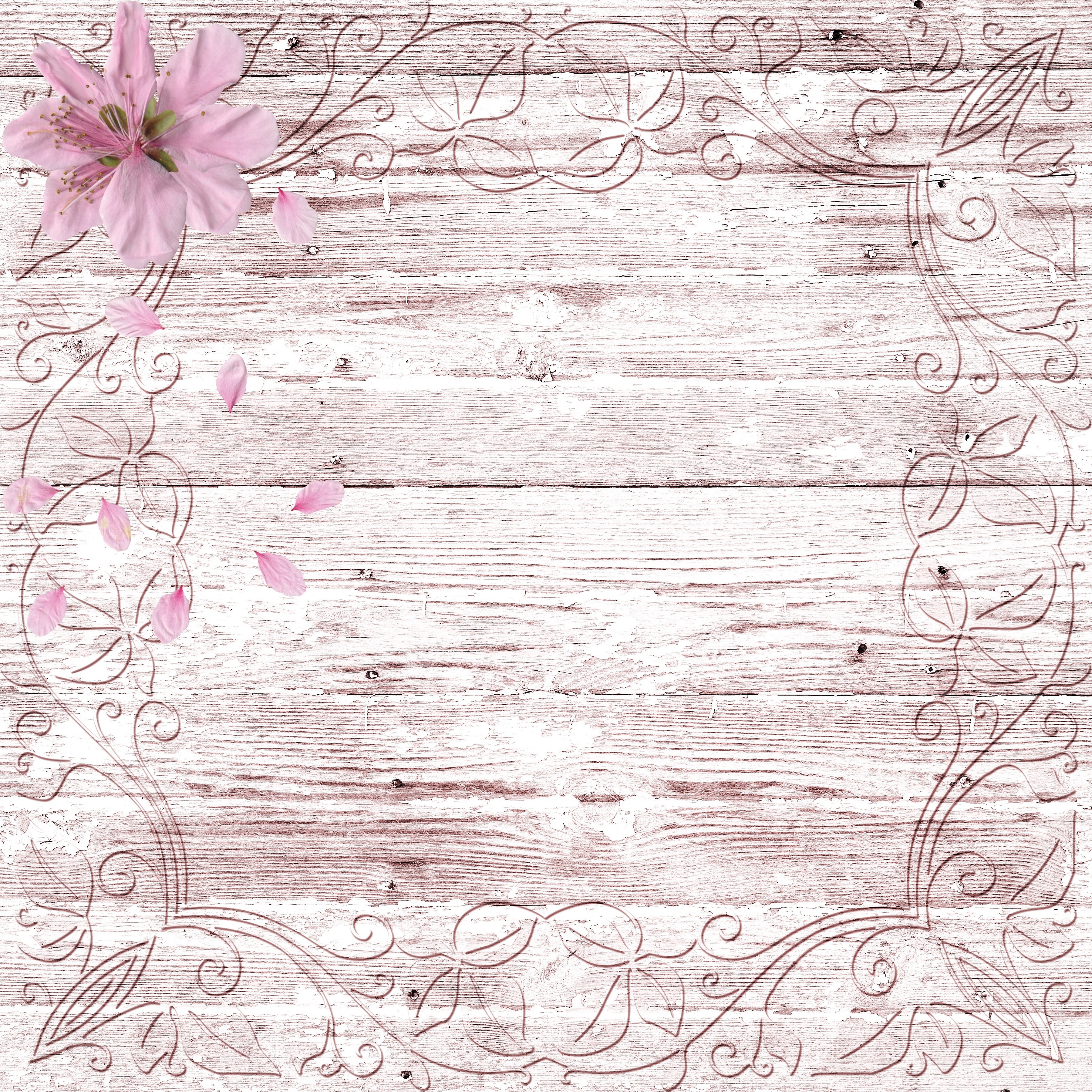 Pink flower and petals on wood planks with floral tracery HD Wallpaper