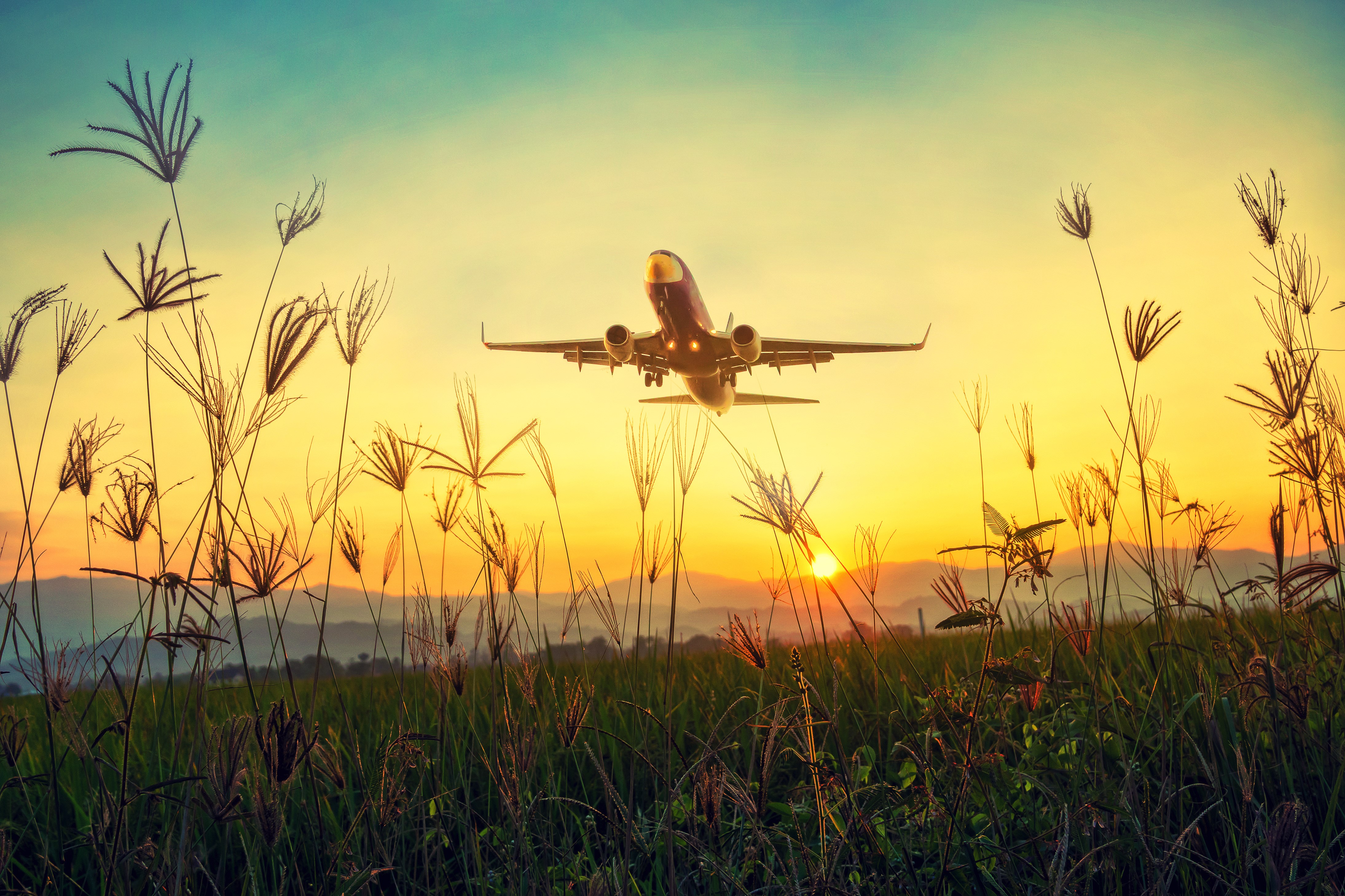 Airplane taking off at sunset over a grassy field HD Wallpaper