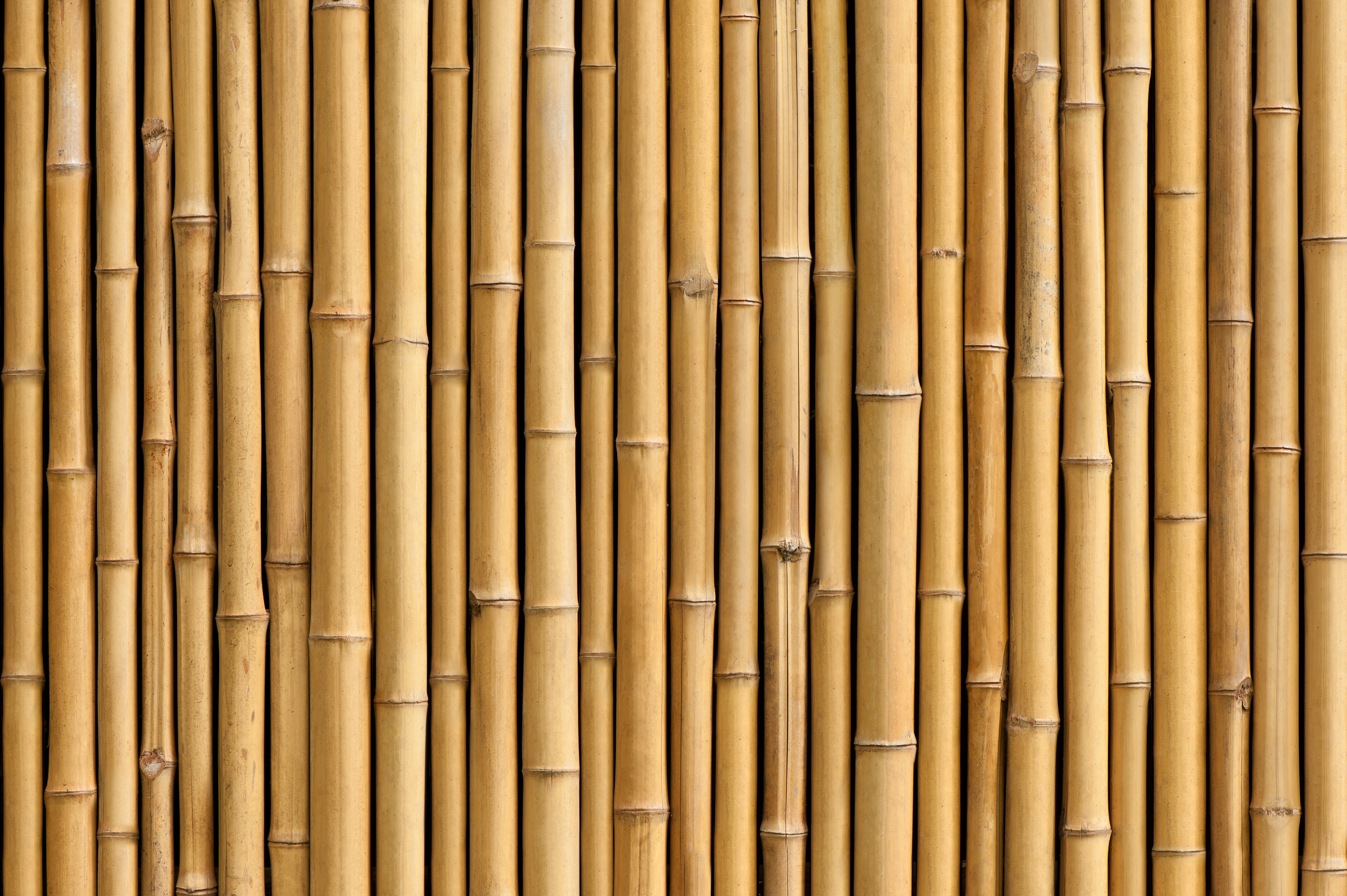 Bamboo Texture Background HD Wallpaper