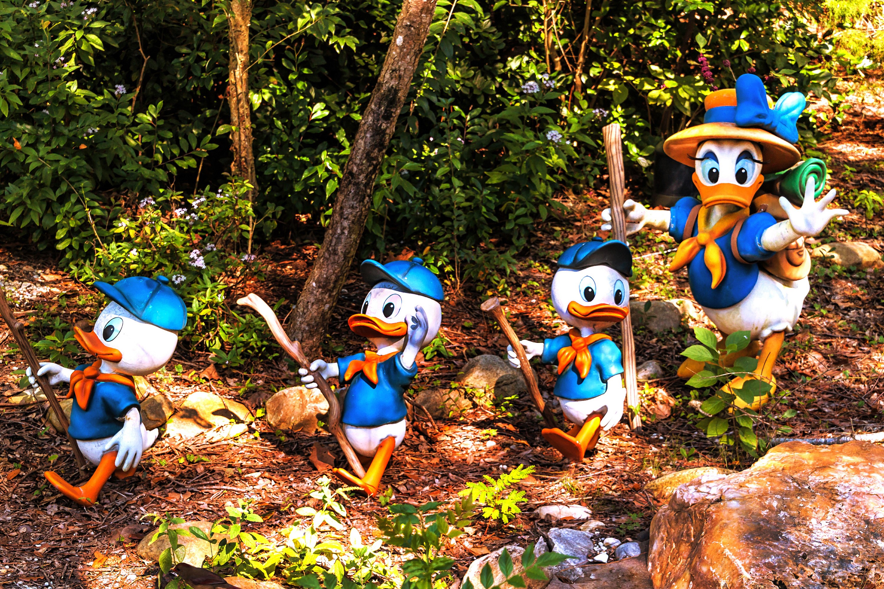 Donald Duck and nephews hiking in a forest HD Wallpaper
