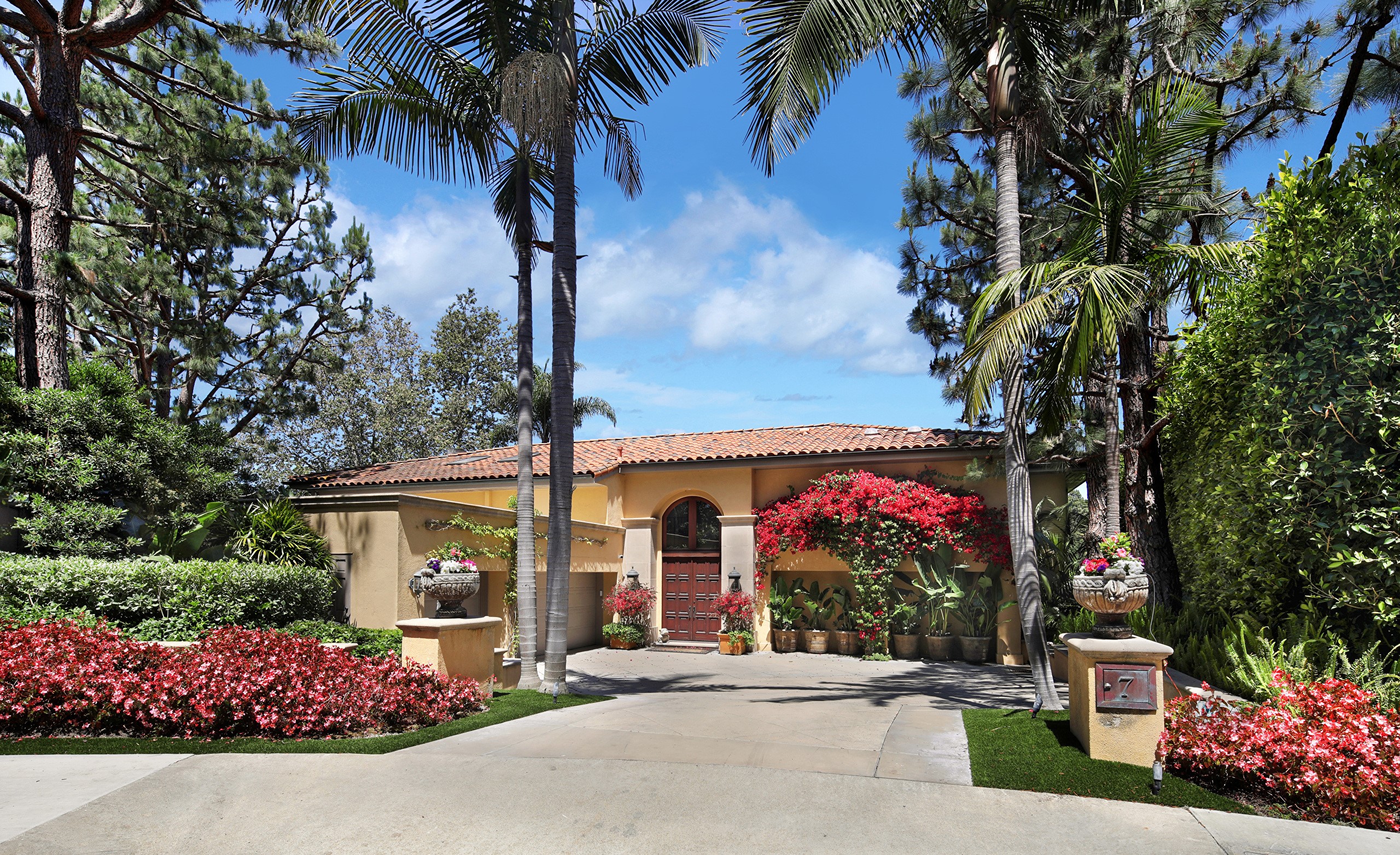 House with Palm Trees and Red Flowers in Newport Beach HD Wallpaper