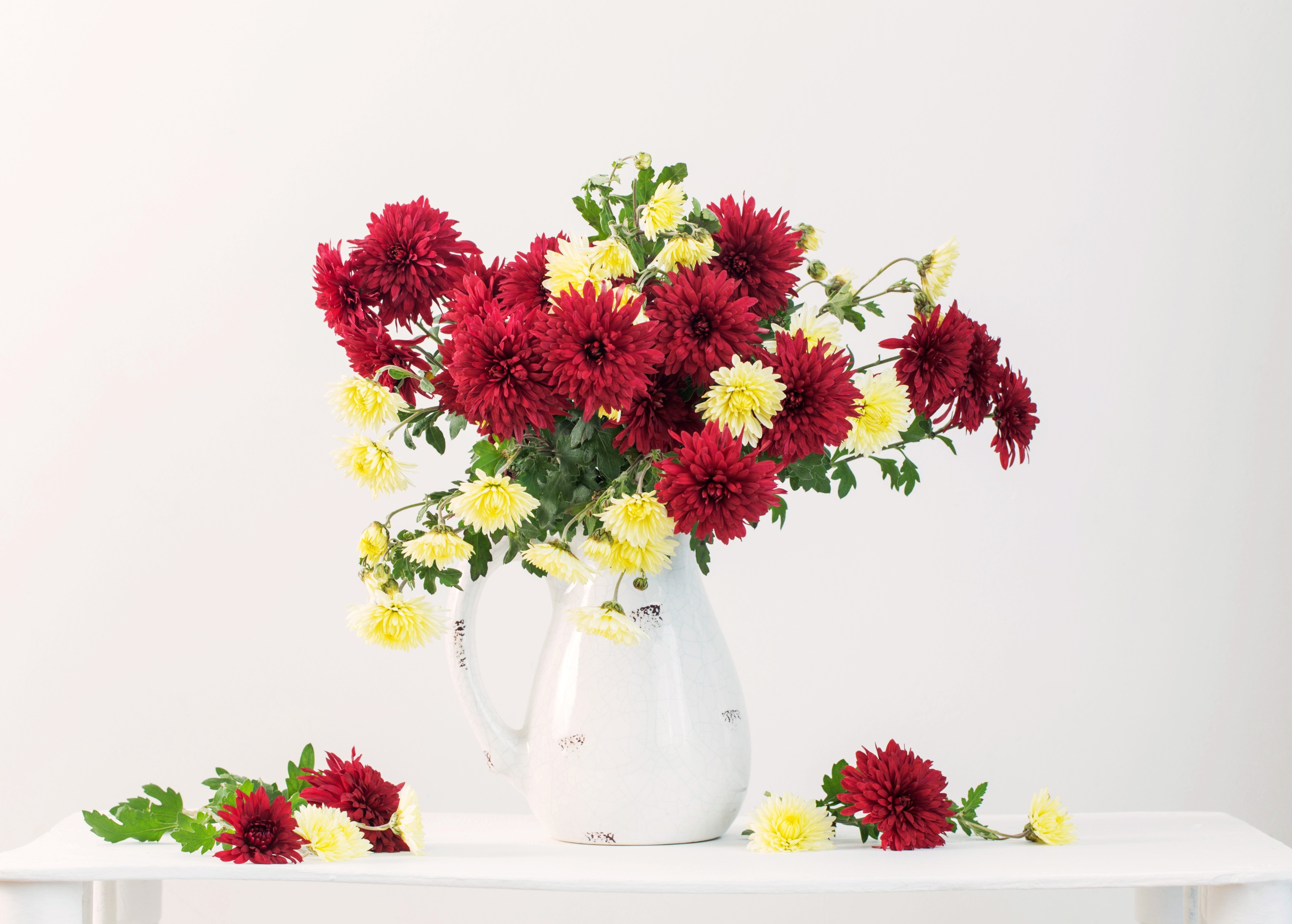 Chrysanthemums in a vase HD Wallpaper