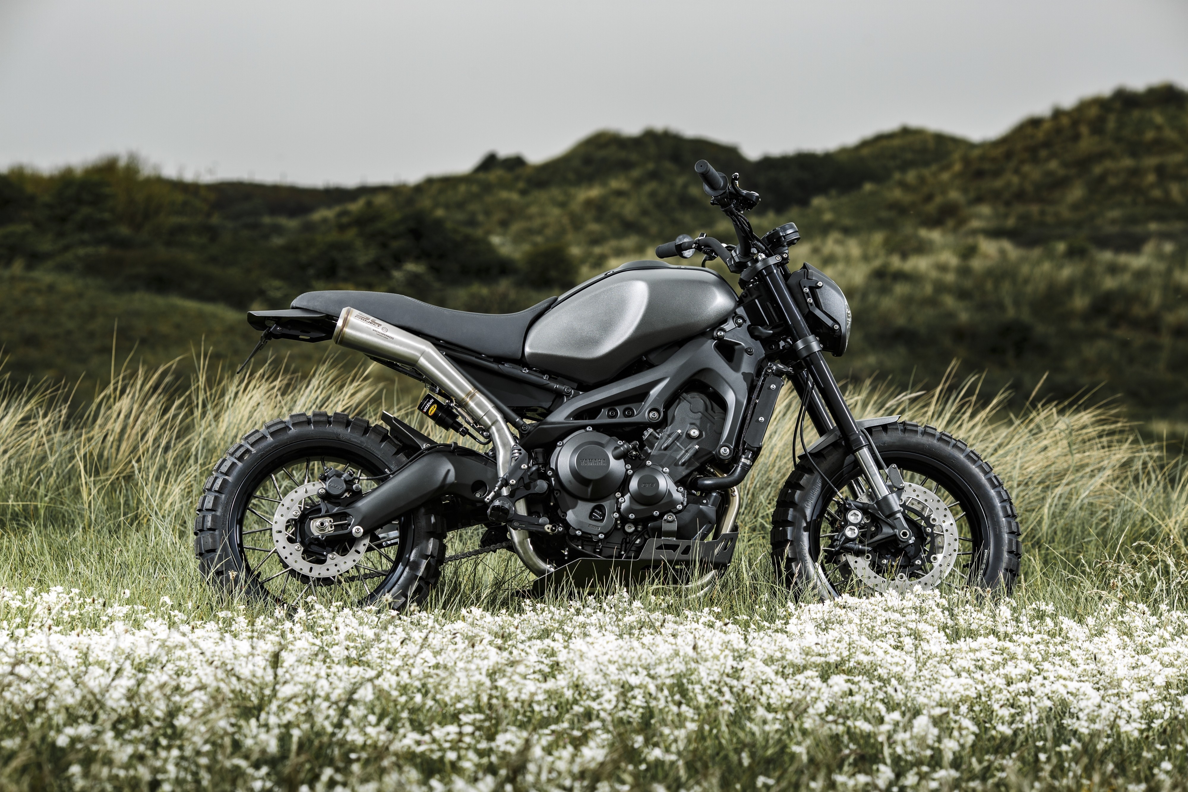 Yamaha XSR900 Monkeebeast motorcycle in grass HD Wallpaper