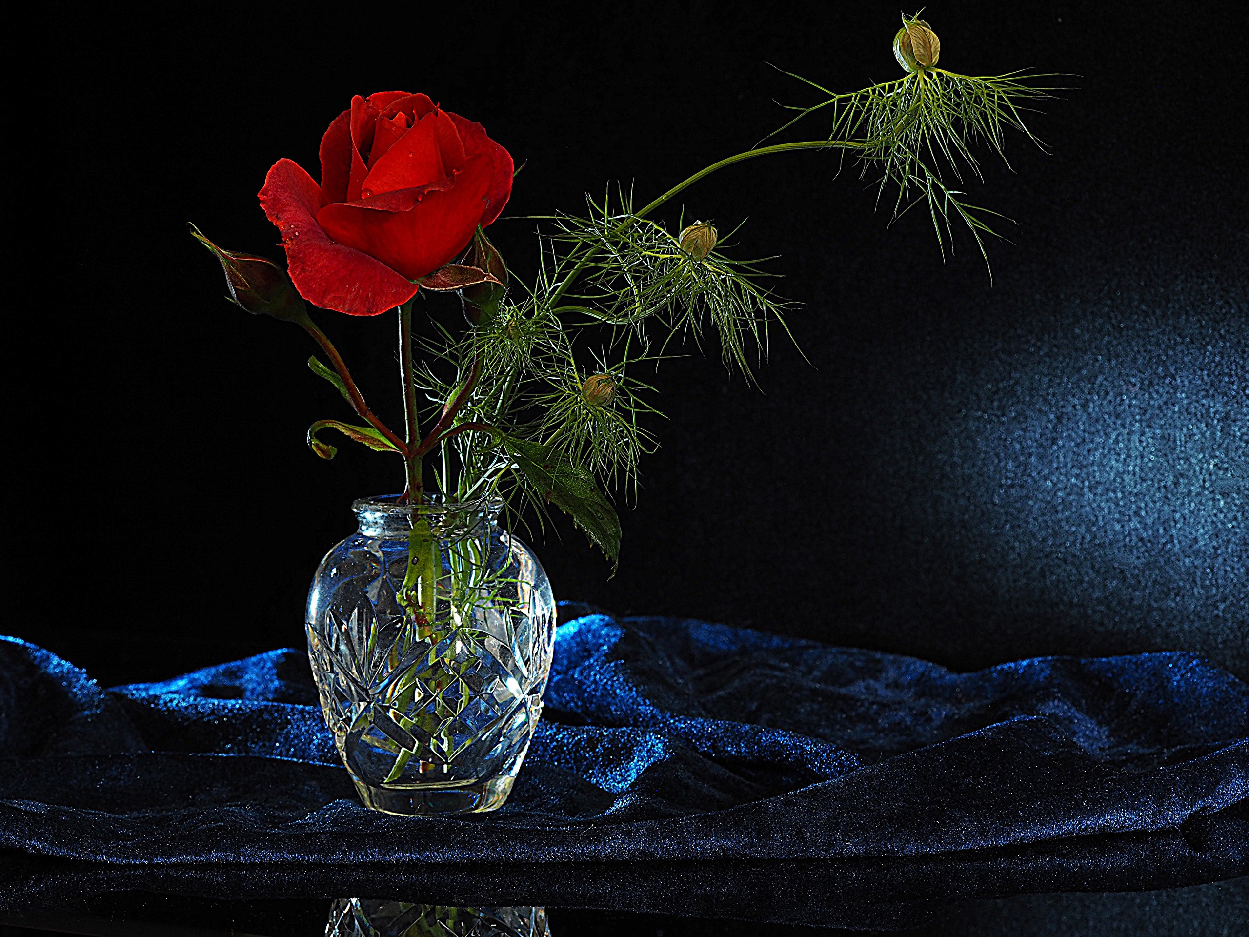 Red rose and green branches in a crystal vase HD Wallpaper