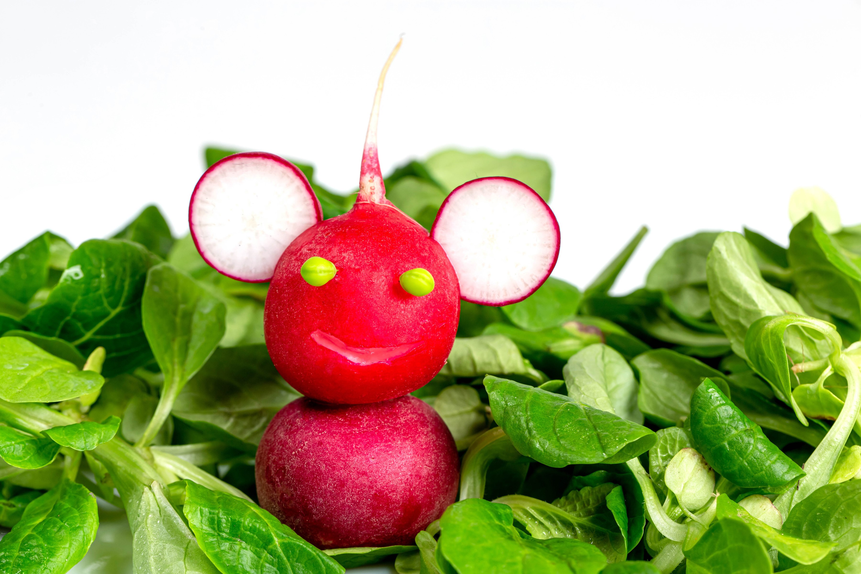 Creative radish mouse character on a bed of lettuce HD Wallpaper