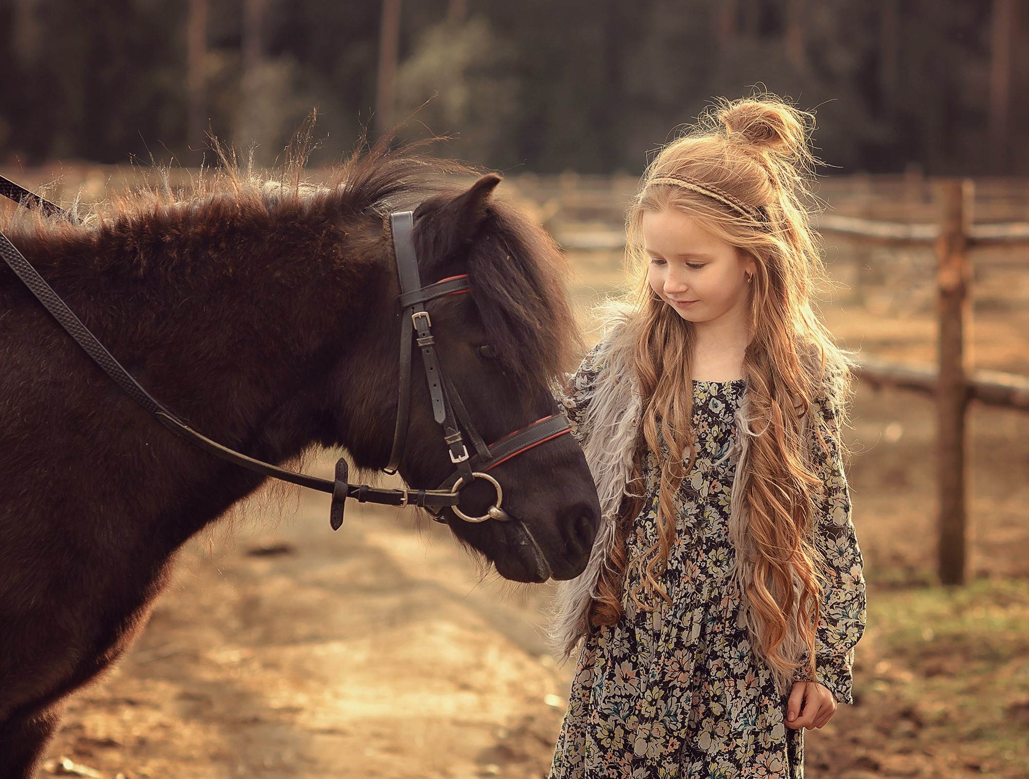 Girl with a pony HD Wallpaper
