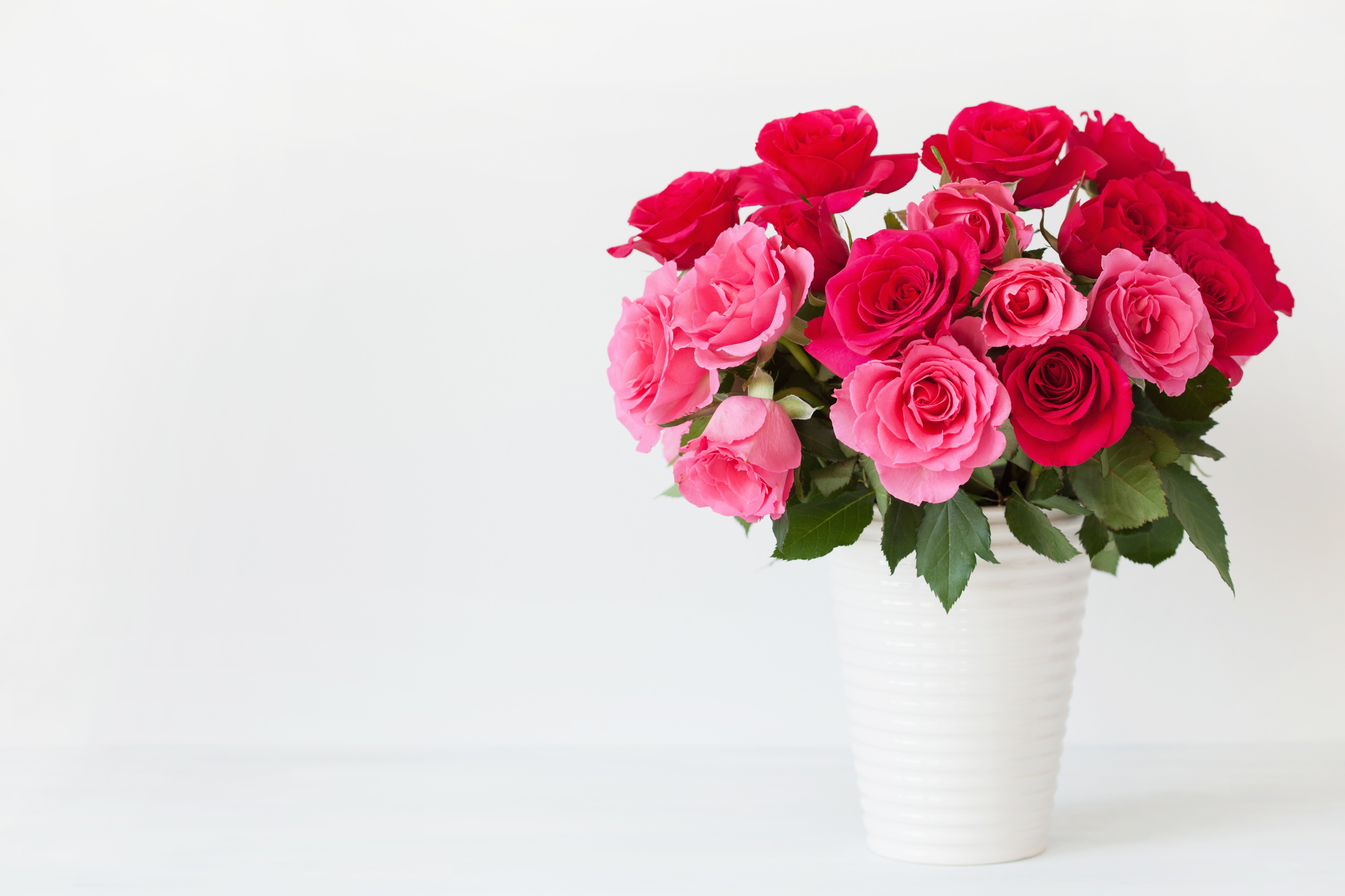 Pink and red roses in a white vase HD Wallpaper