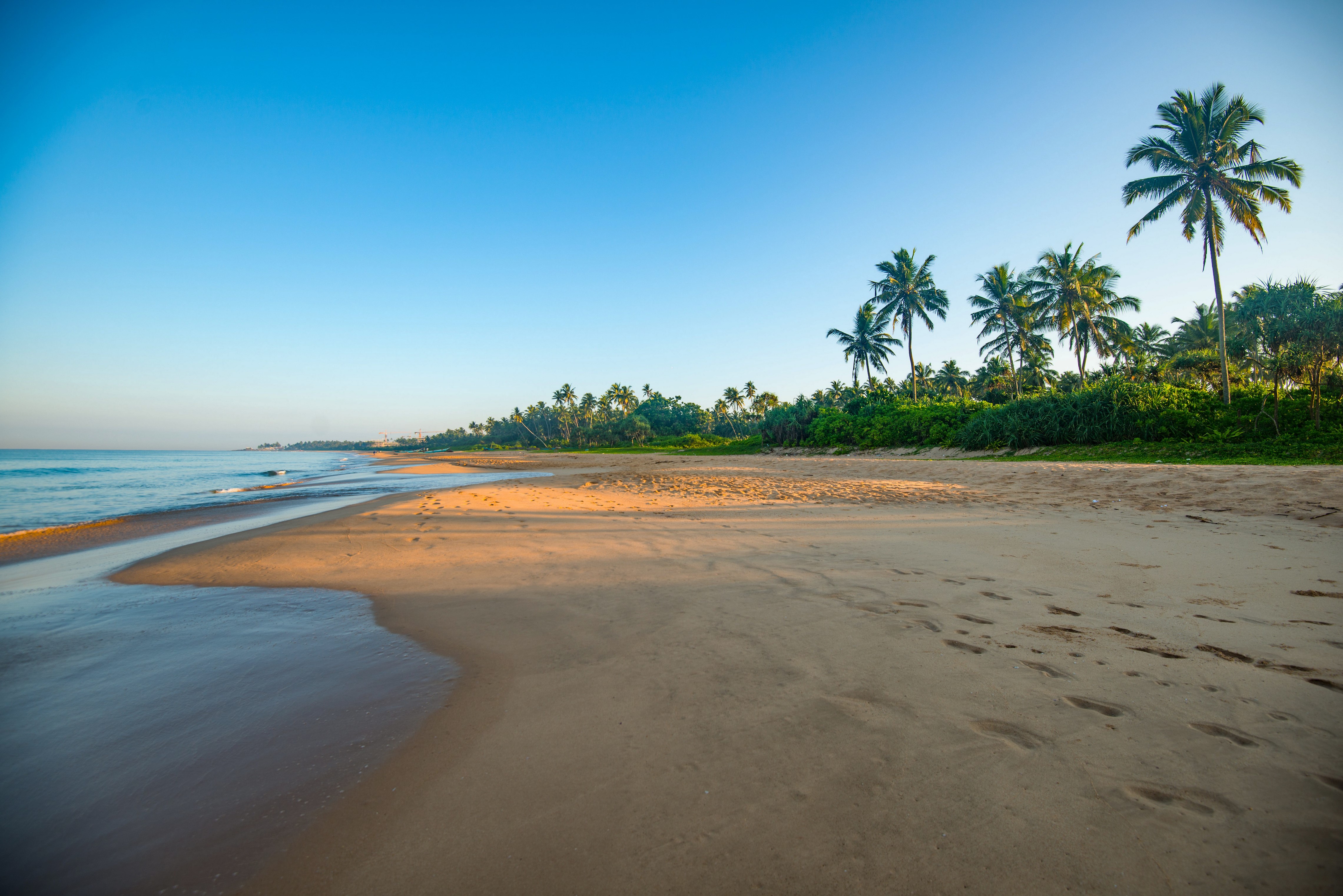 Bentota Beach, Sri Lanka with Palm Trees HD Wallpaper