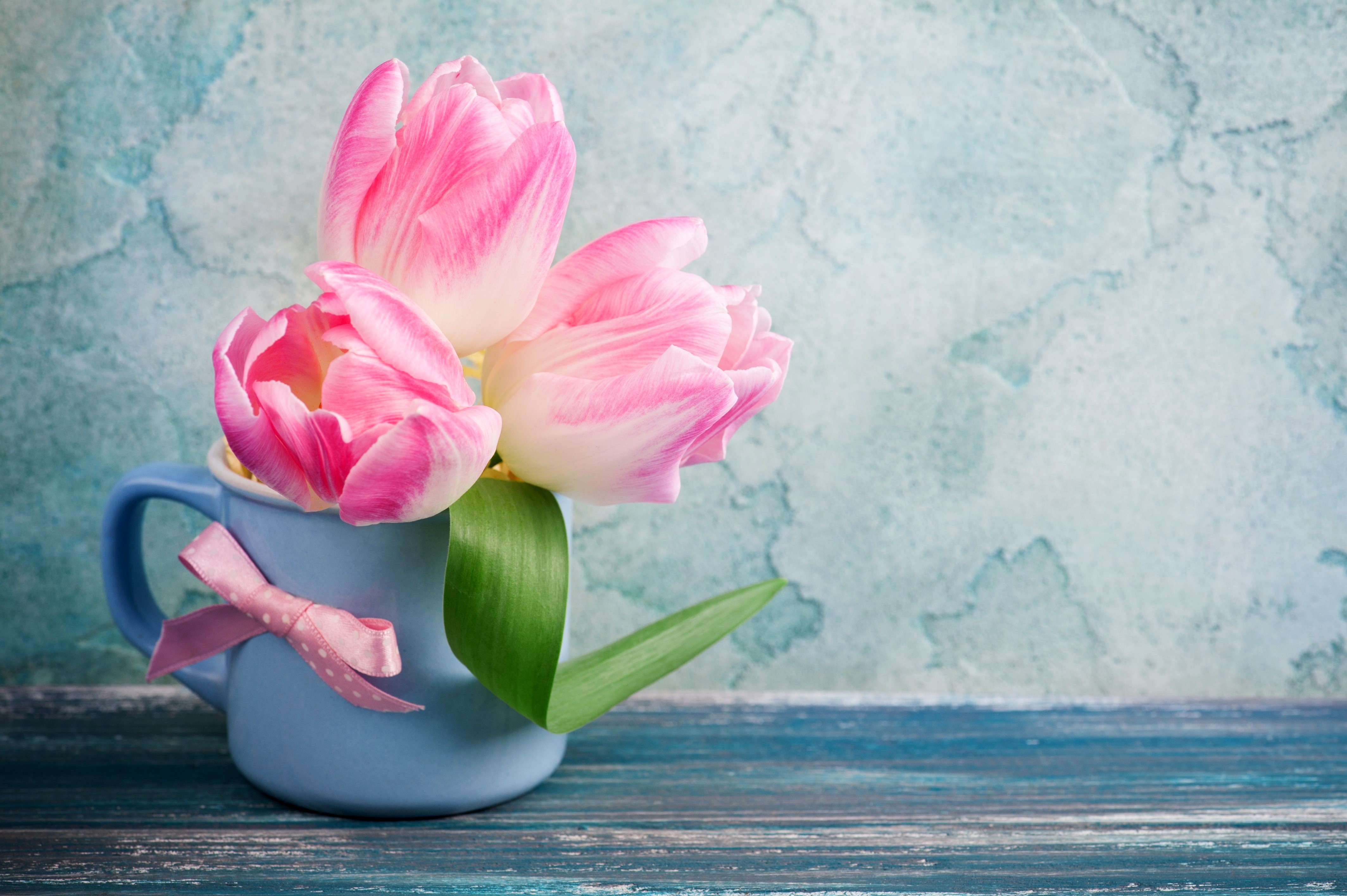 Pink Tulips in a Blue Watering Can HD Wallpaper