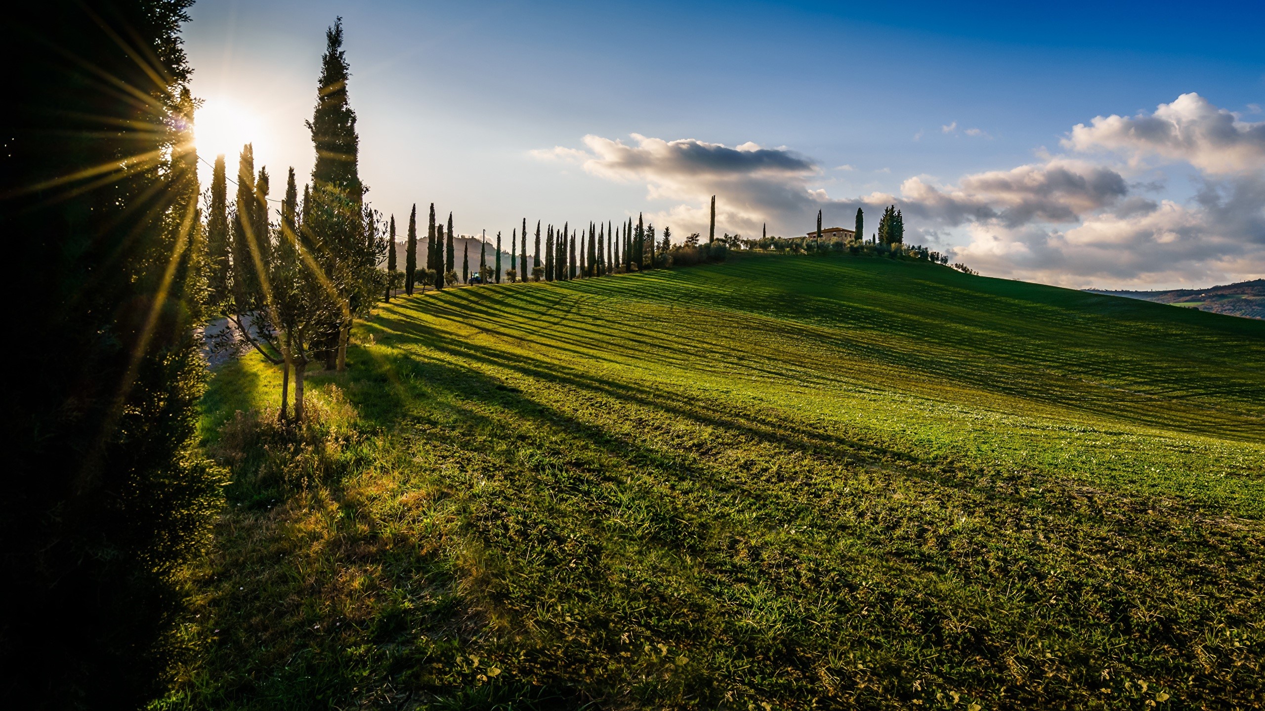 Tuscan landscape with cypress trees and rolling hills HD Wallpaper