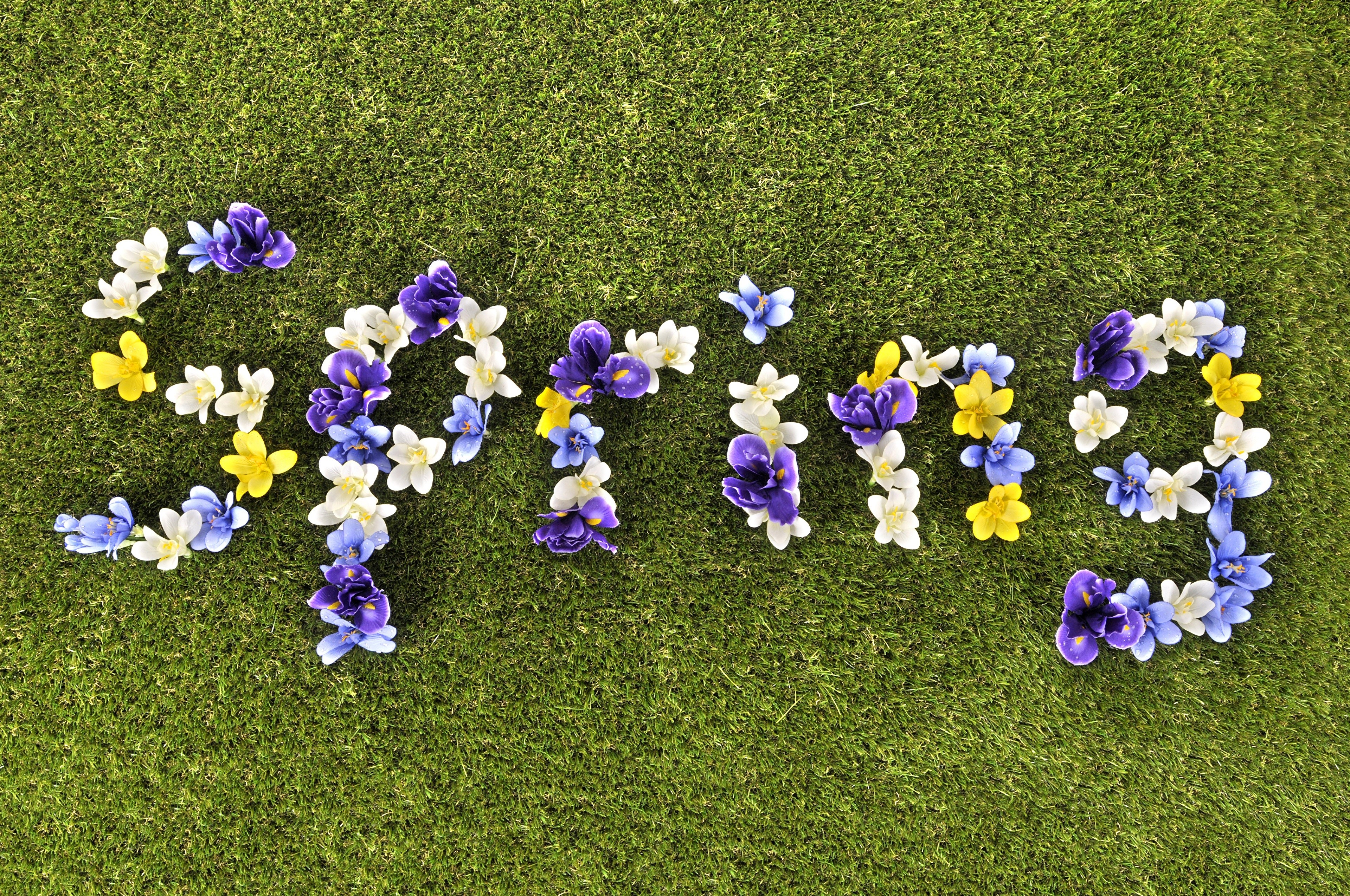 Spring word made of flowers on grass HD Wallpaper