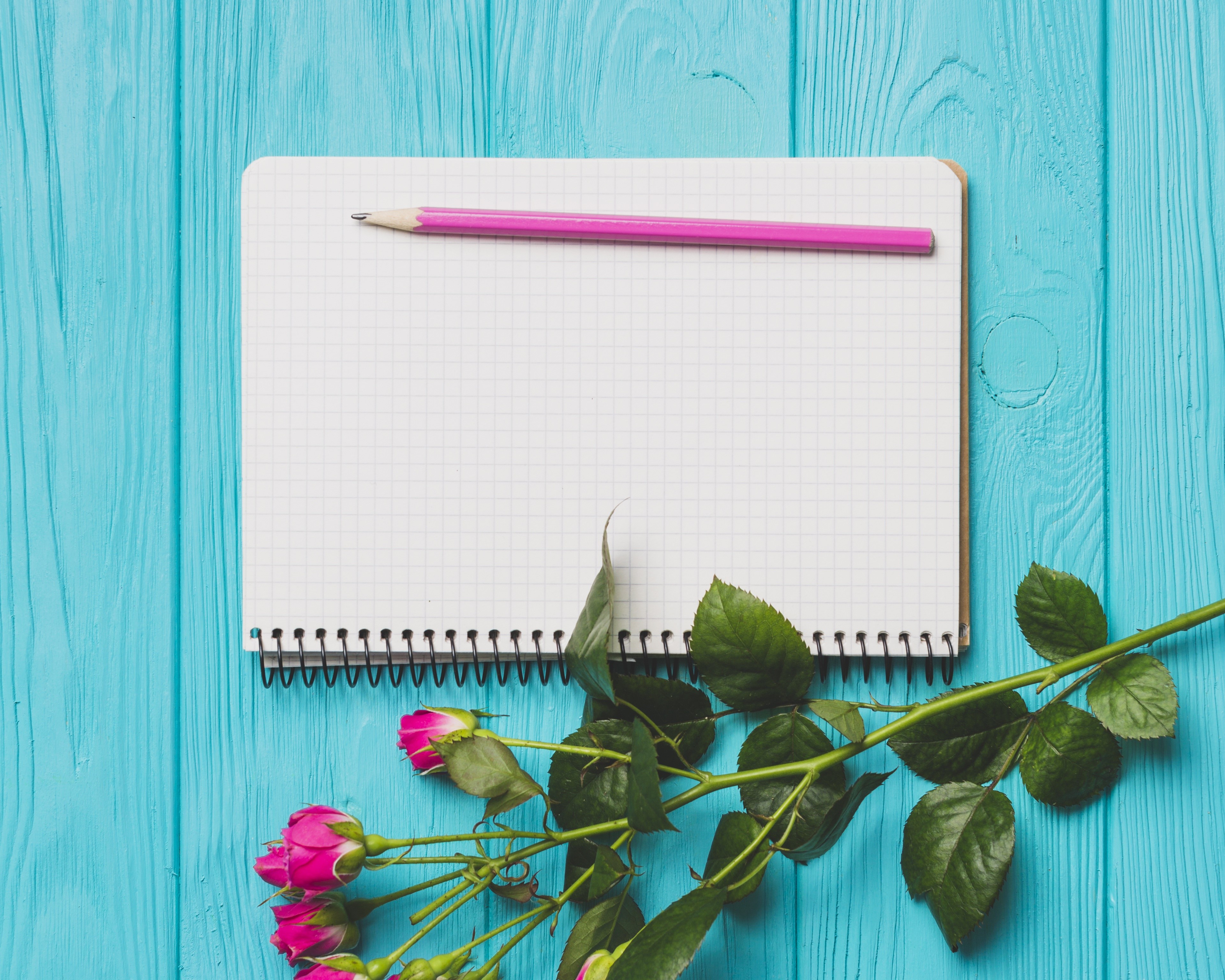 Notebook with pink pencil and pink roses HD Wallpaper