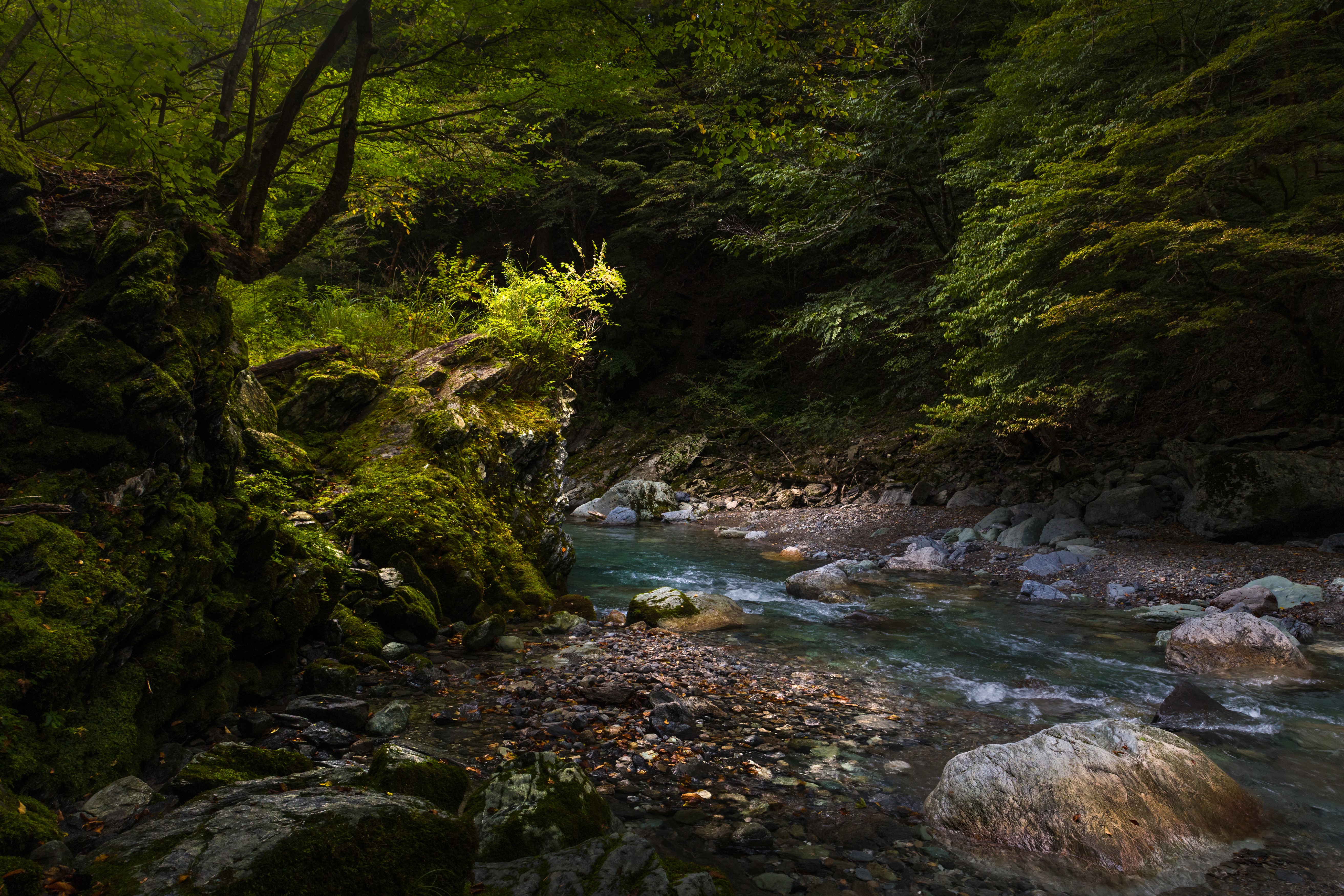 Mossy Rocks and Stream in Iya Valley, Japan HD Wallpaper