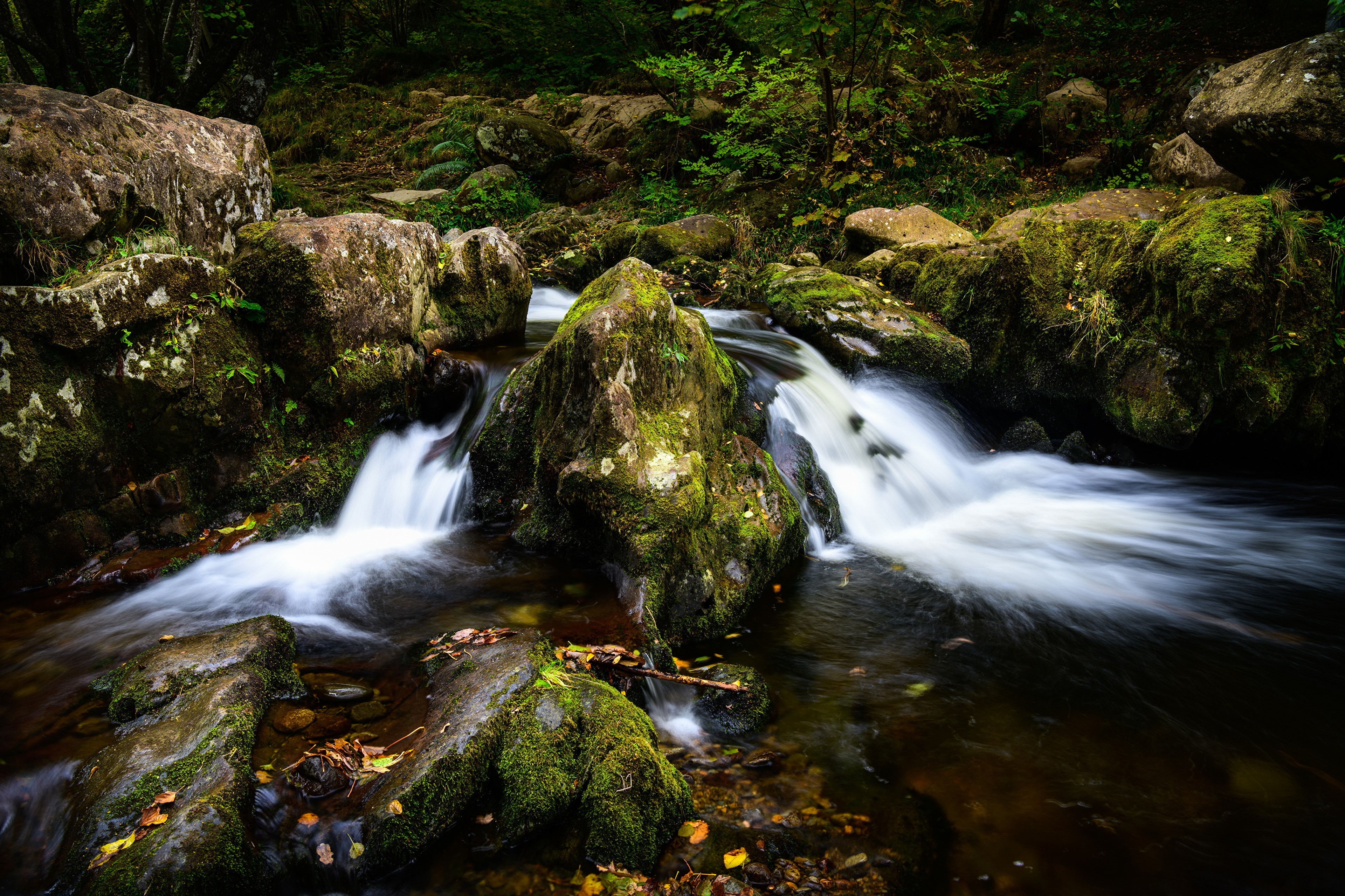 Mossy Stones and Waterfalls in Cumbria, England HD Wallpaper