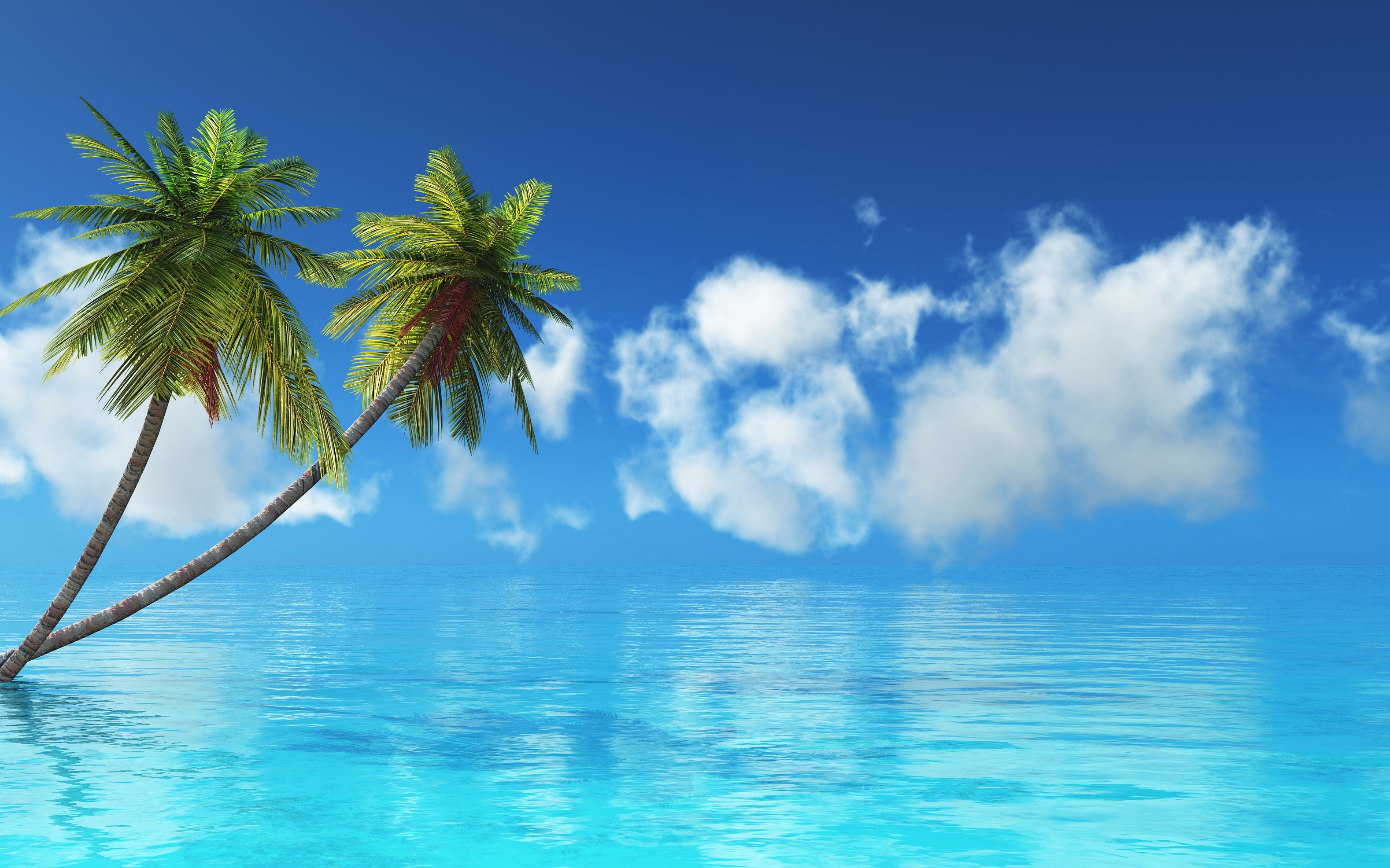 Two palm trees in the ocean under a blue sky HD Wallpaper