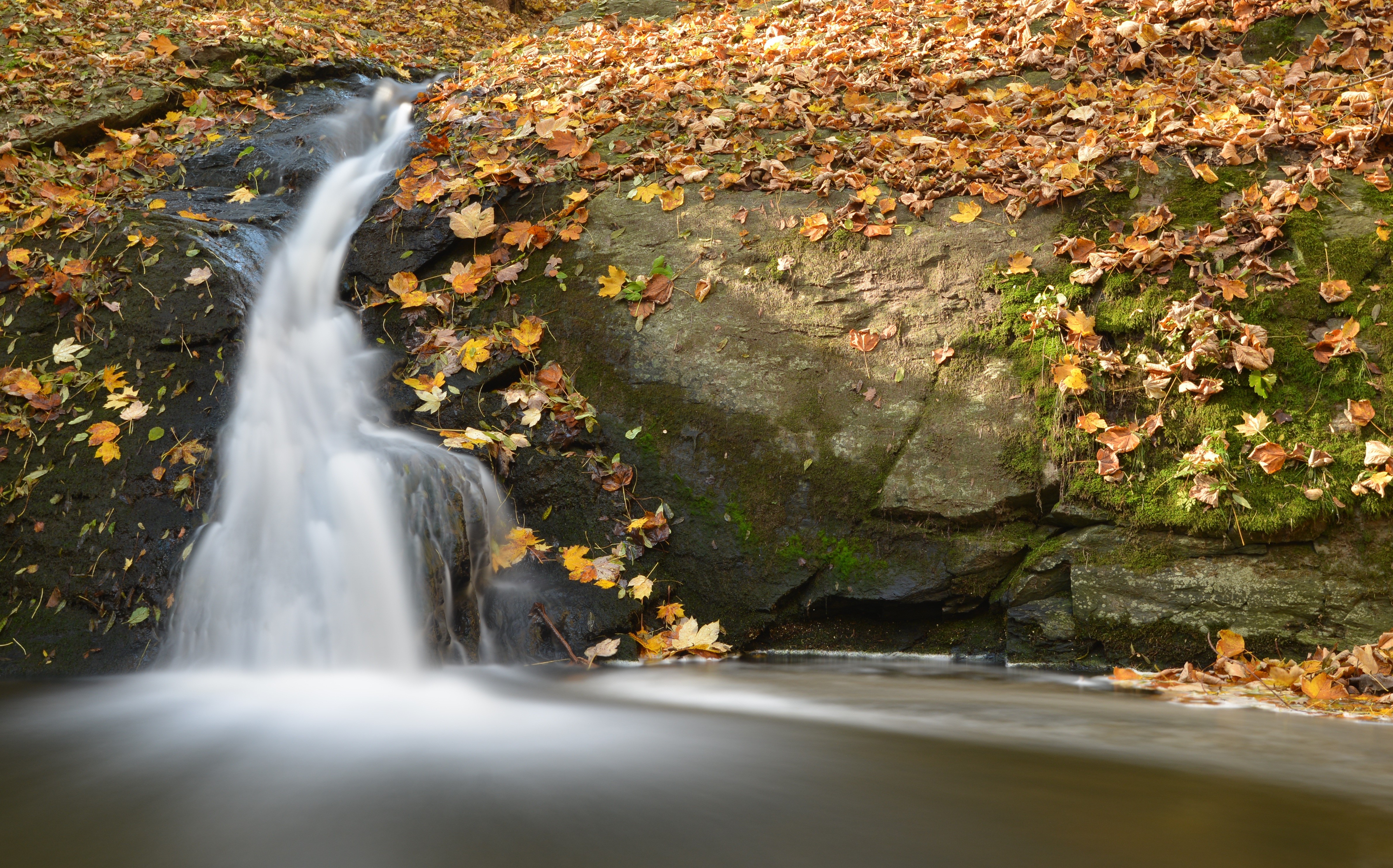 Autumn Waterfall with Foliage and Moss HD Wallpaper