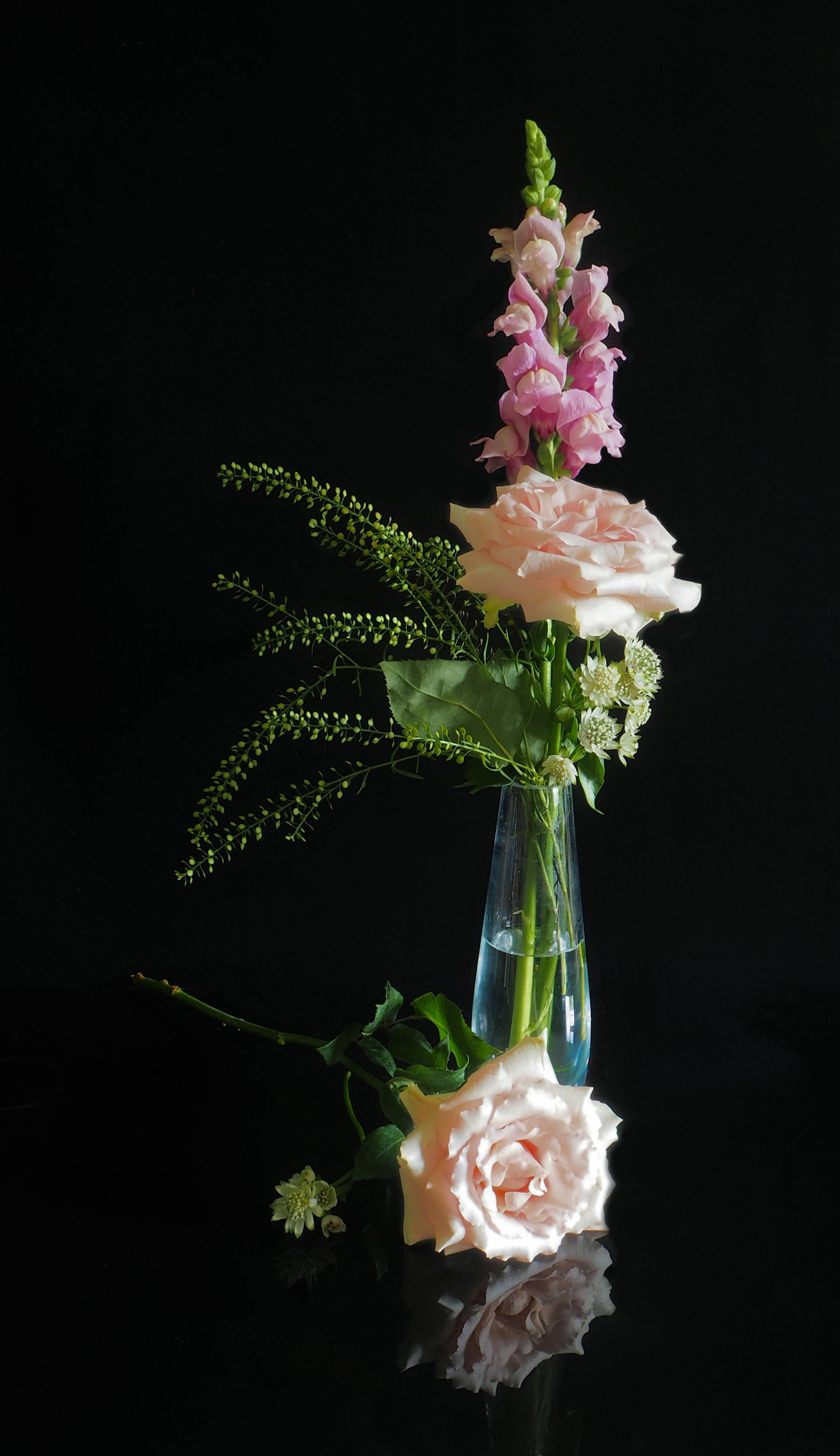 Pink roses and snapdragons in a vase HD Phone Wallpaper