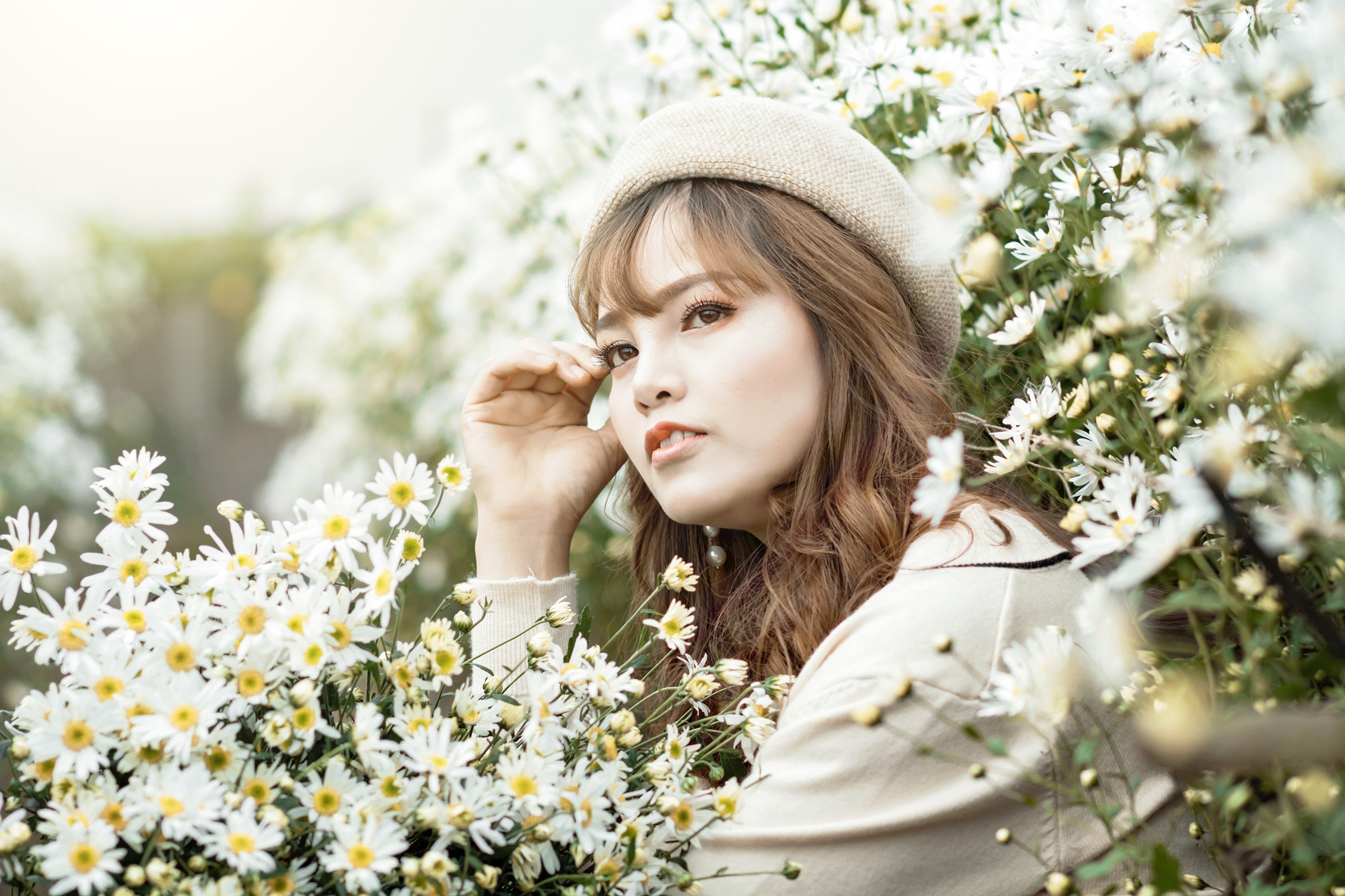Asian woman wearing a beret in a field of camomiles HD Wallpaper