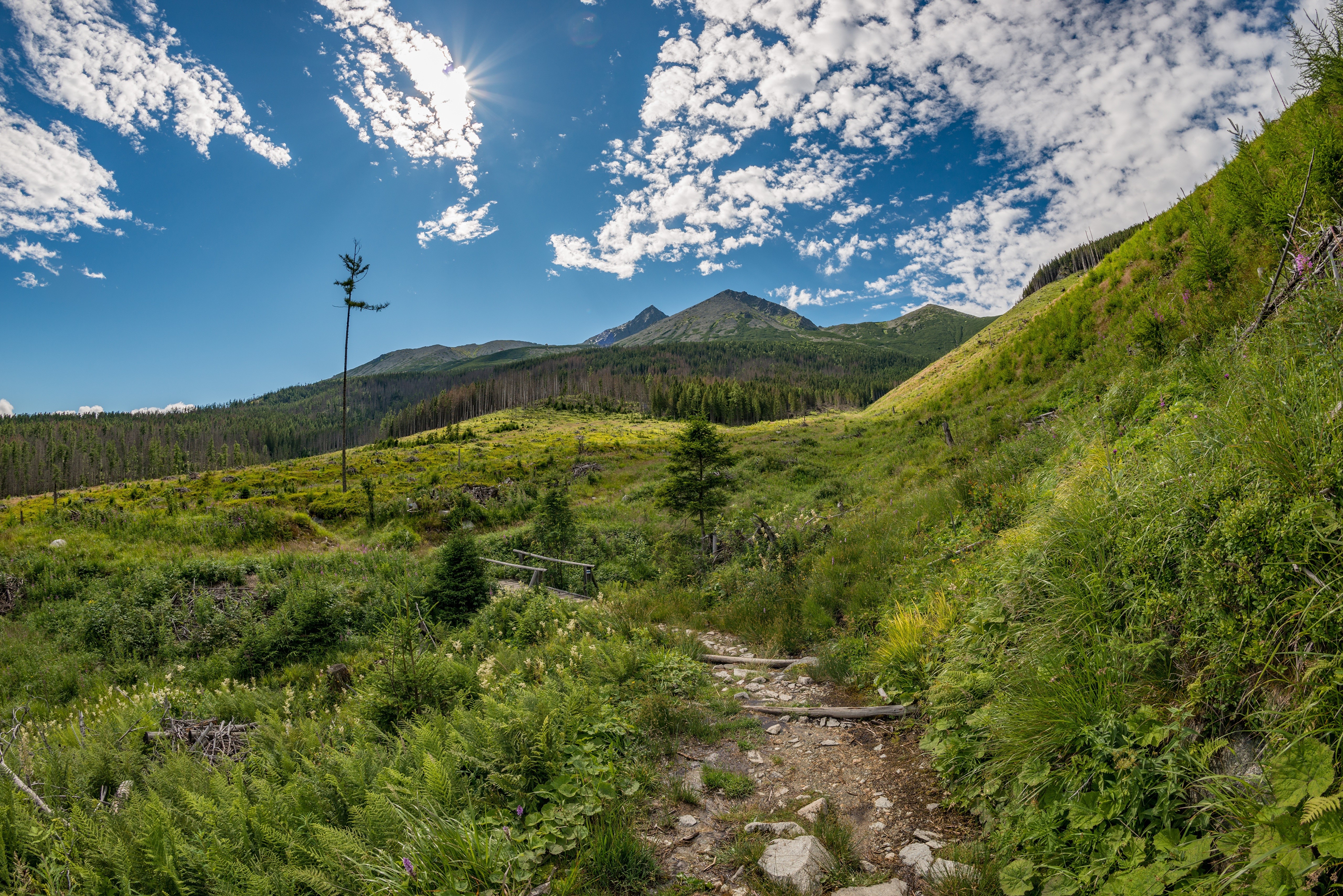 Tatras Mountains Scenery with Trail in Slovakia HD Wallpaper