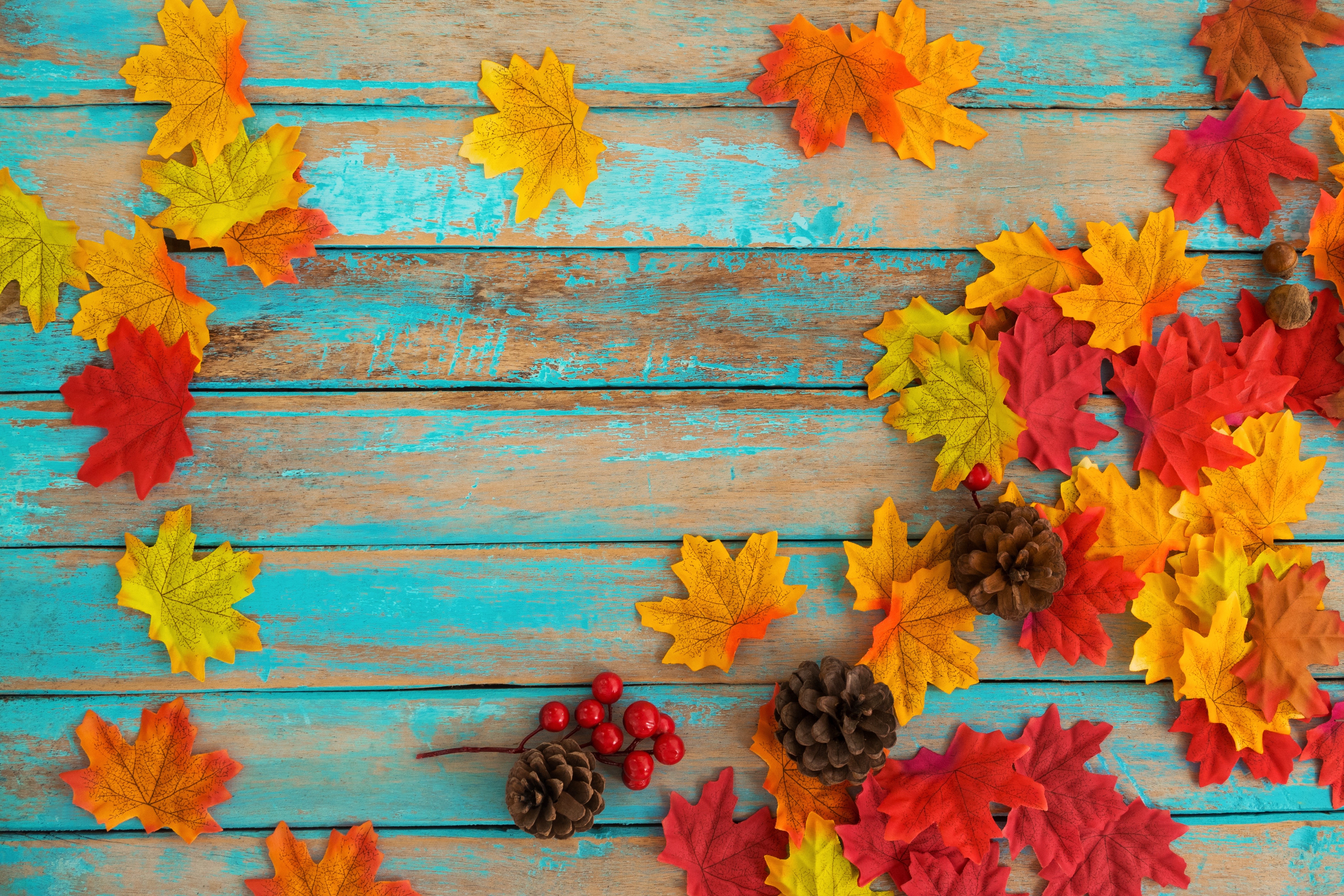 4K Autumn Maple Leaves on Wood Planks HD Wallpaper