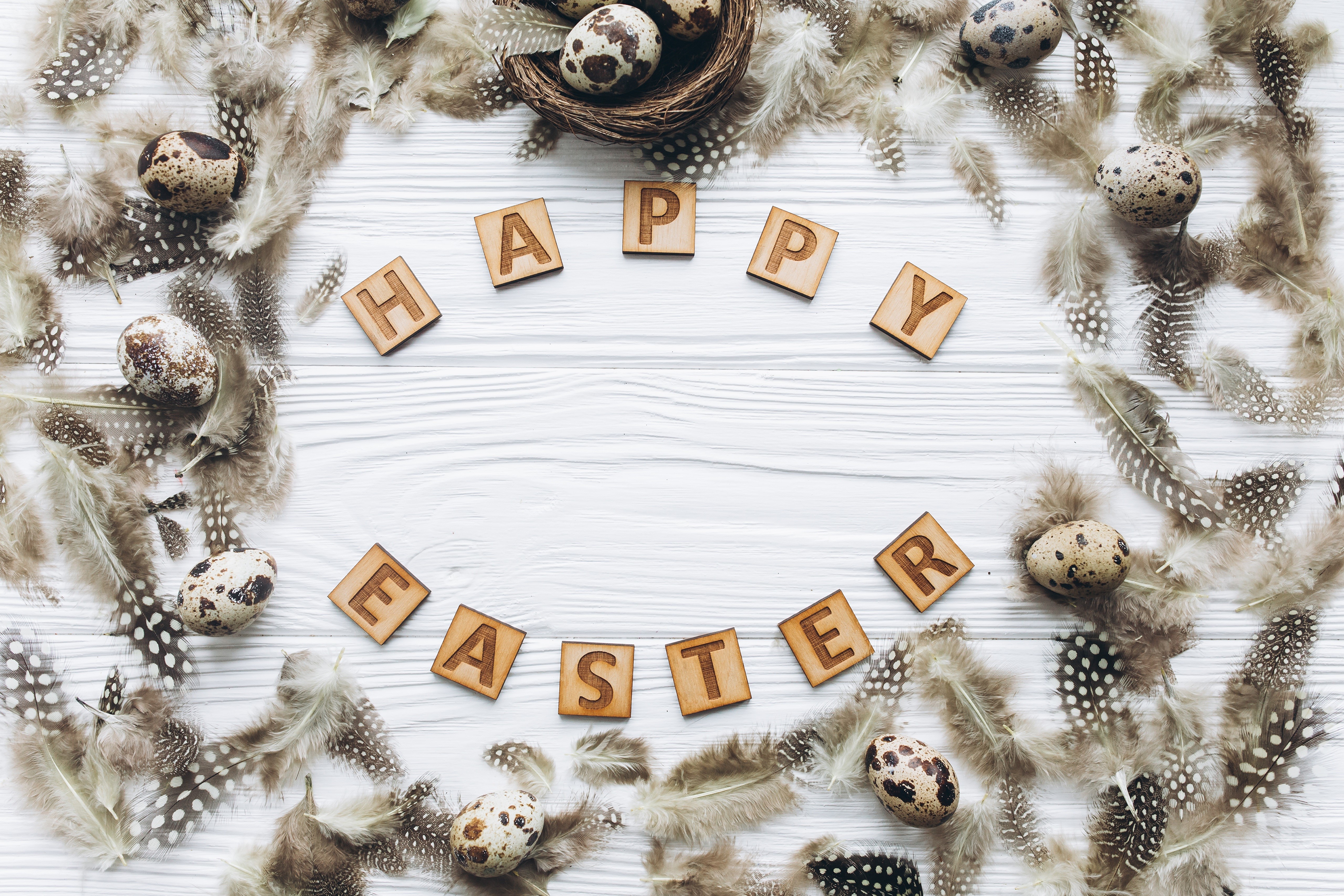 Easter greeting card with quail eggs and feathers HD Wallpaper