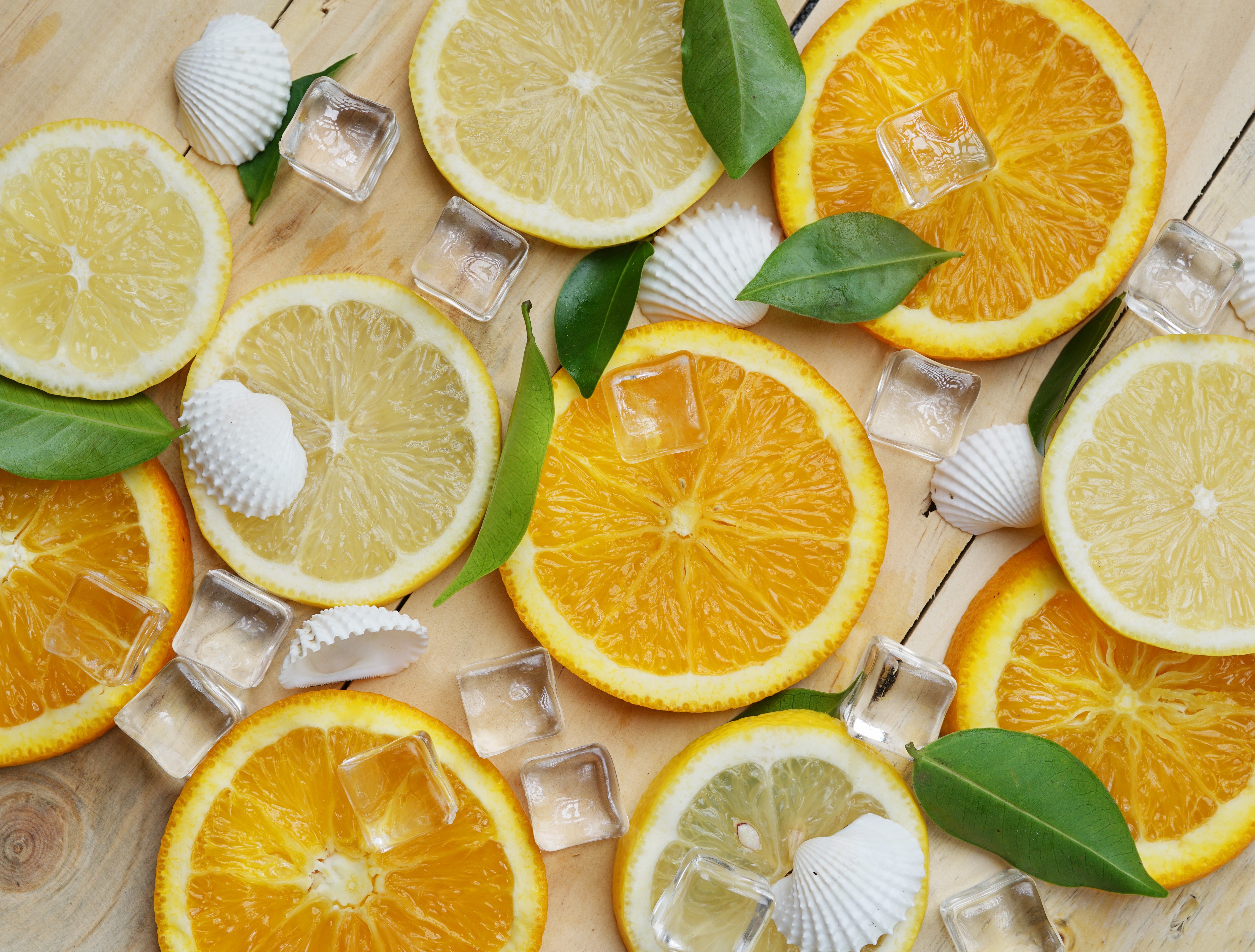 Orange and Lemon Slices with Shells and Ice HD Wallpaper