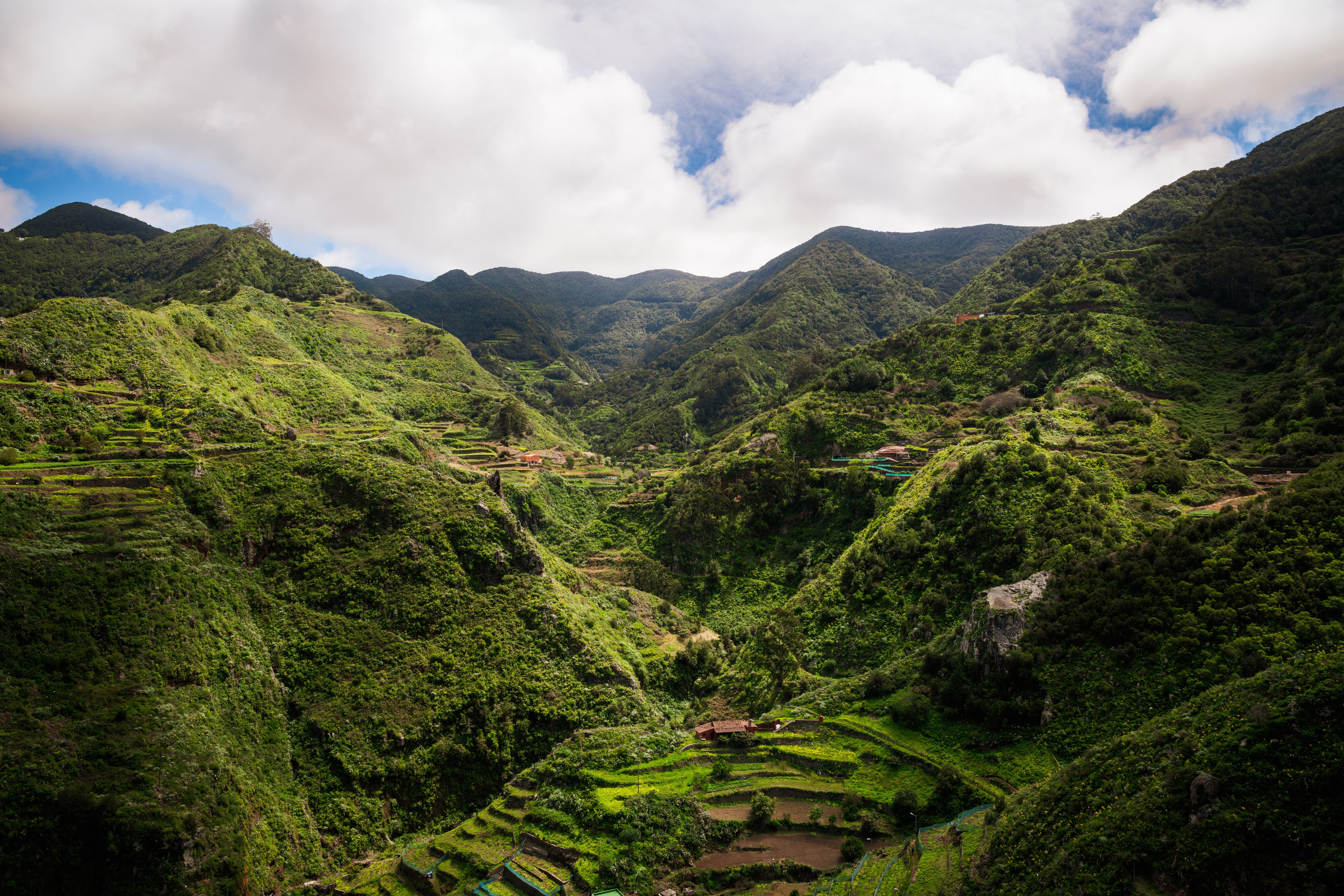 Terraced Fields in Macizo de Anaga, Tenerife, Spain HD Wallpaper