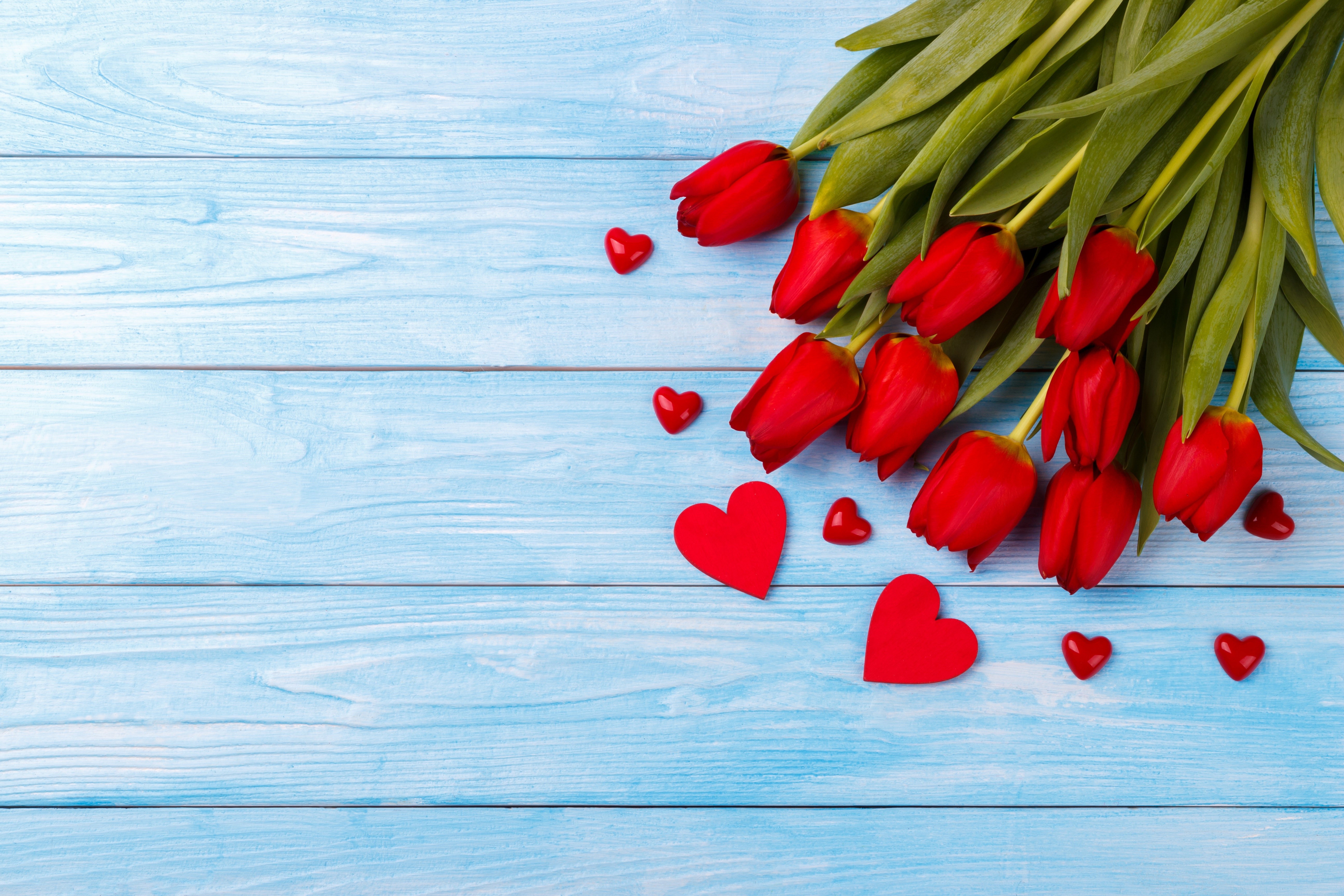 Red Tulips and Hearts on Blue Wood Planks HD Wallpaper