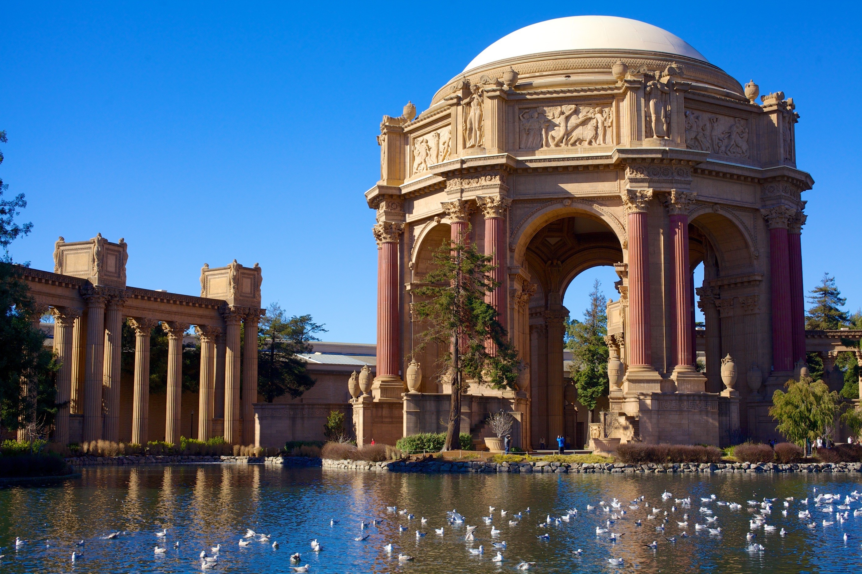 Palace of Fine Arts with pond and birds in San Francisco HD Wallpaper