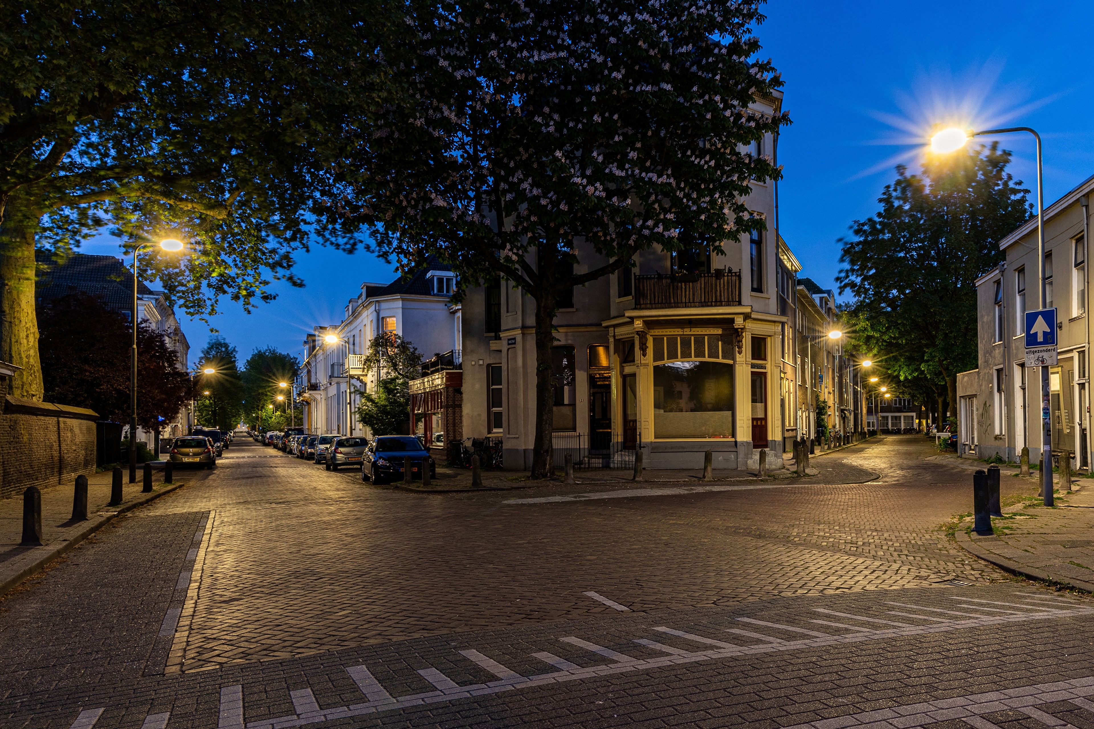 Street lights on a street in Arnhem, Netherlands at evening HD Wallpaper